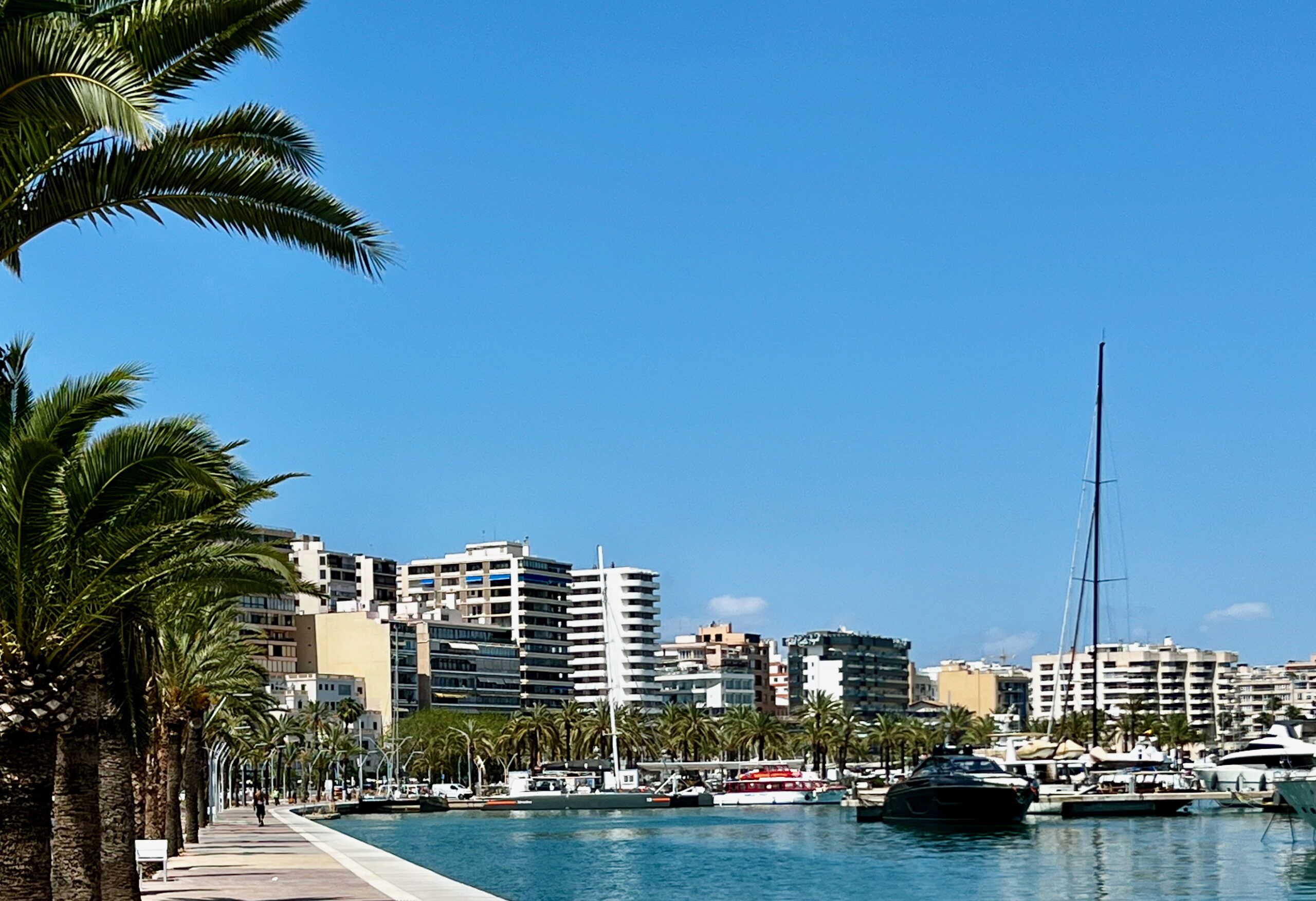 5 Minuten Mallorca | Nachrichten am 4. September 2025