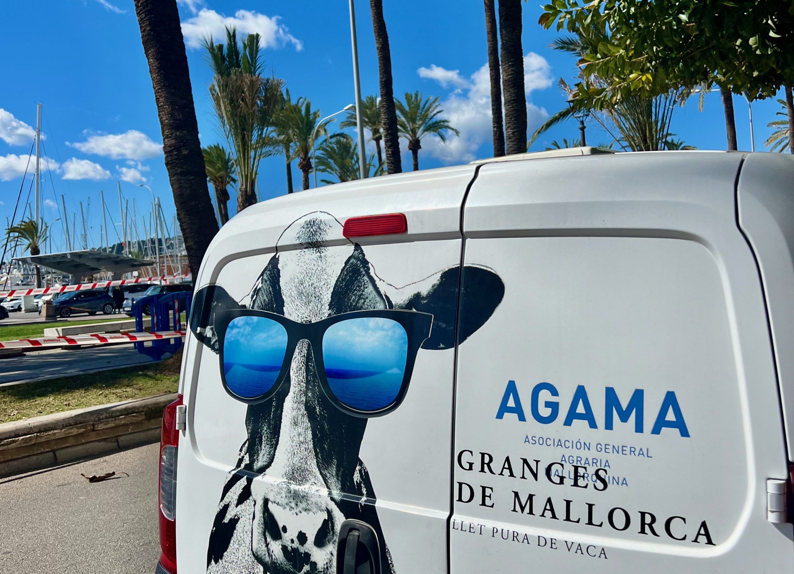 5 Minuten Mallorca |&nbsp;Nachrichten am 14. März 2026