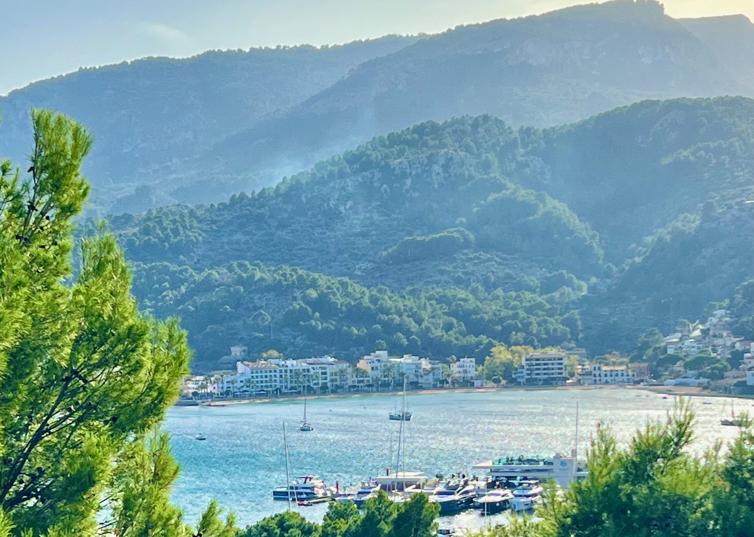 5 Minuten Mallorca | Nachrichten am 14. November 2025