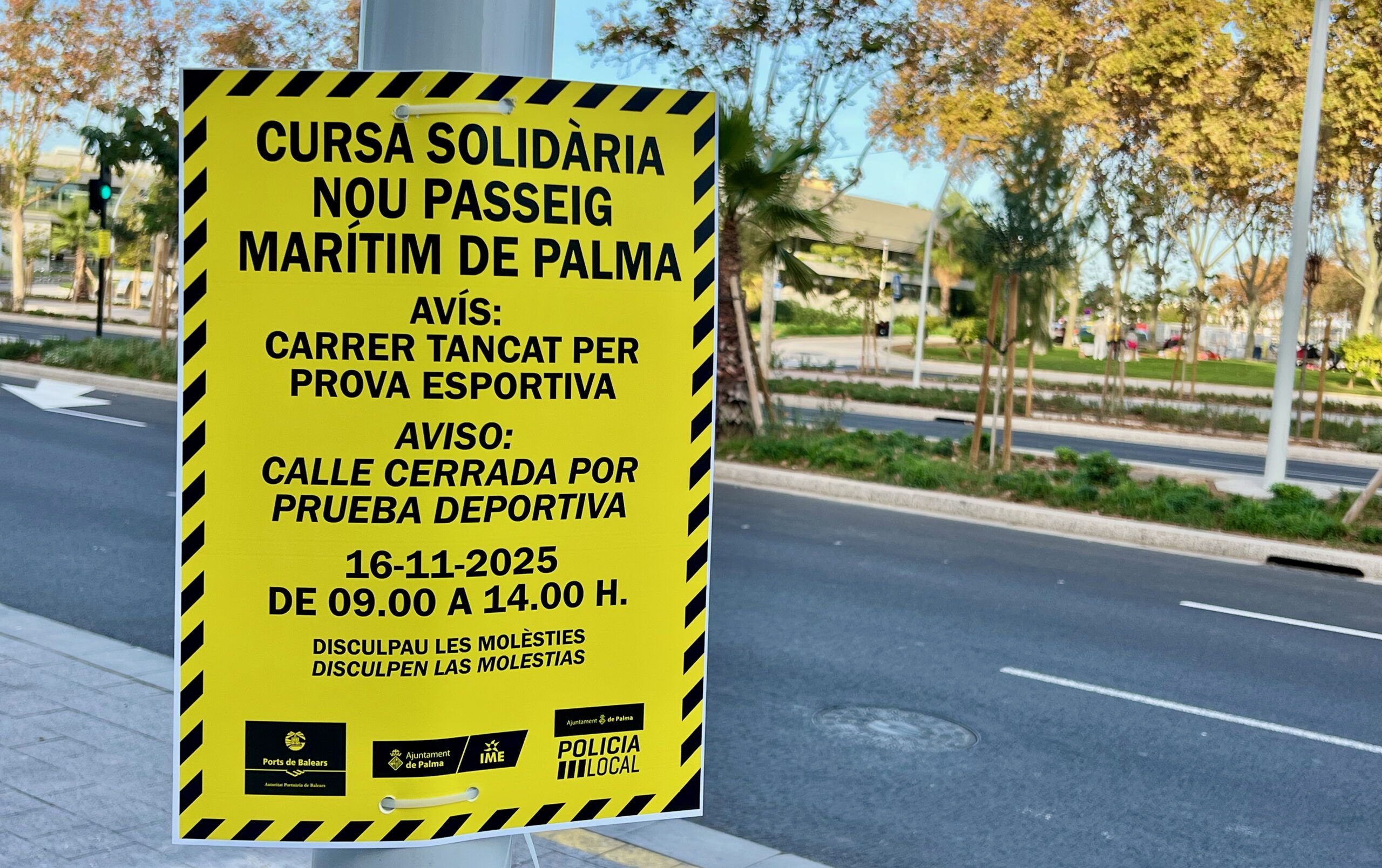 5 Minuten Mallorca | Nachrichten am 15. November 2025