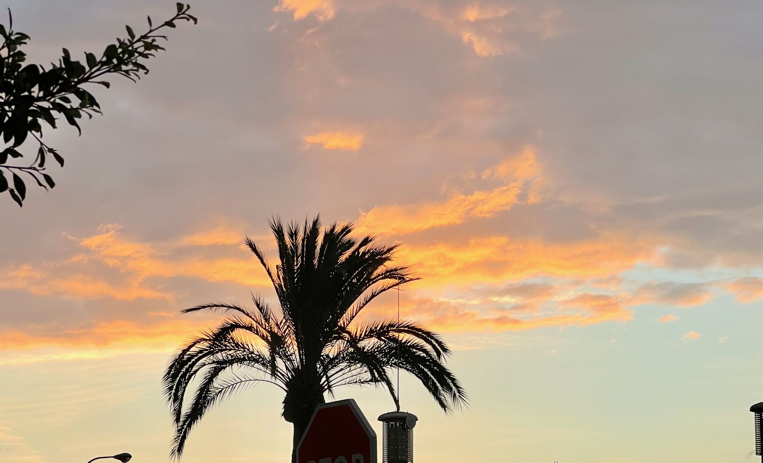 5 Minuten Mallorca | Nachrichten am 15. Oktober 2025