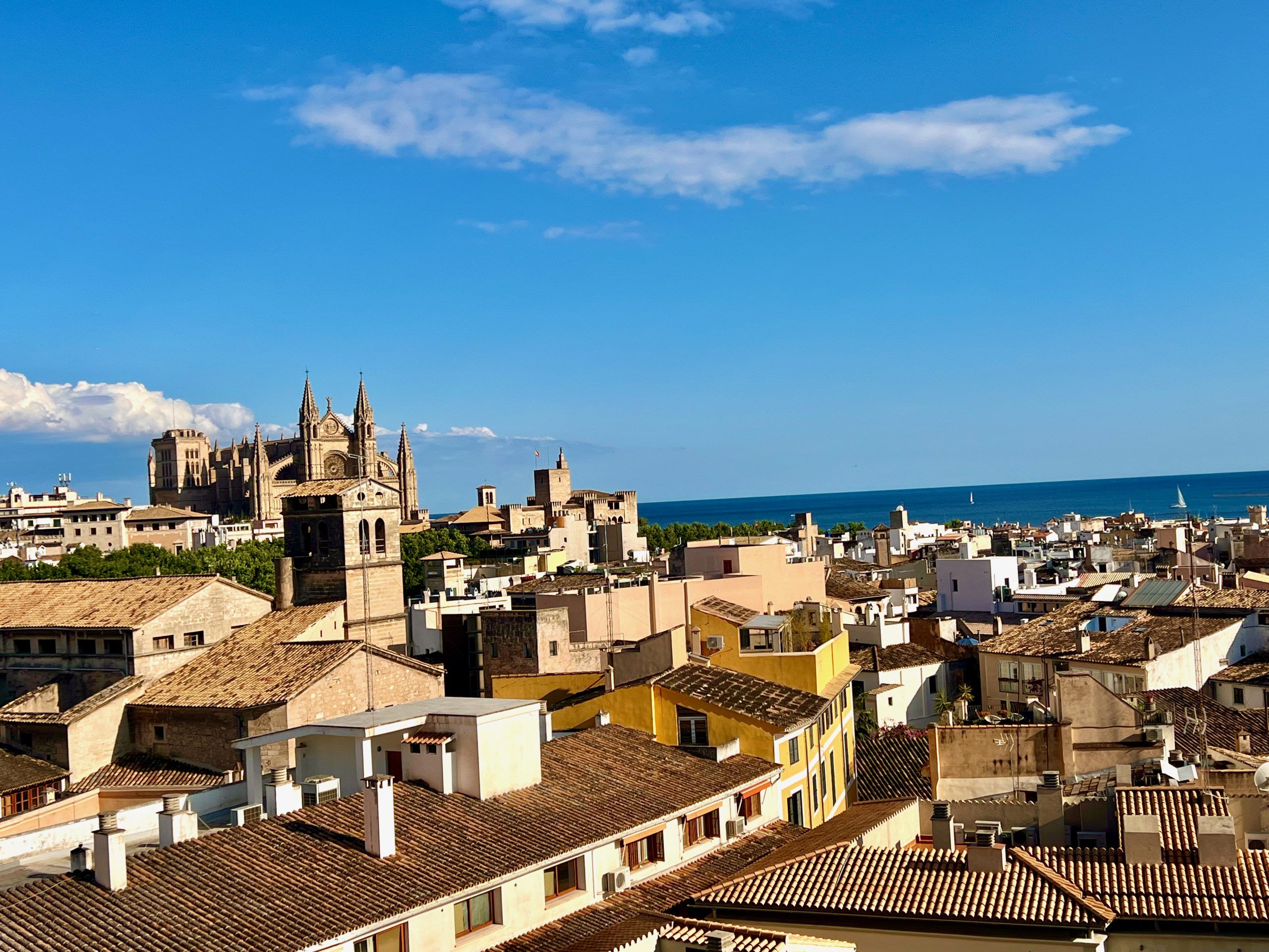 5 Minuten Mallorca |&nbsp;Nachrichten am 17. Dezember 2025