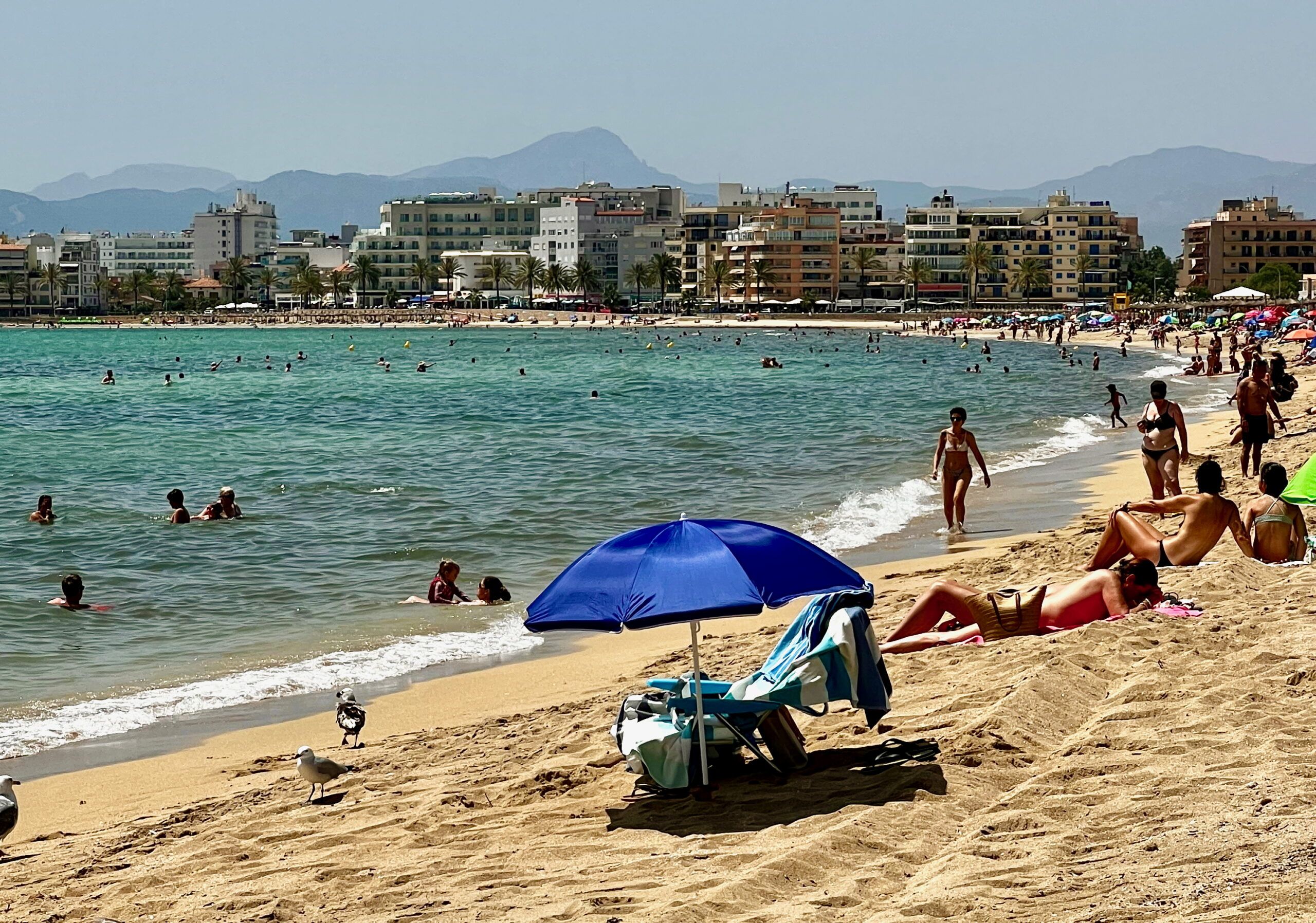 5 Minuten Mallorca | Nachrichten am 6. September 2025