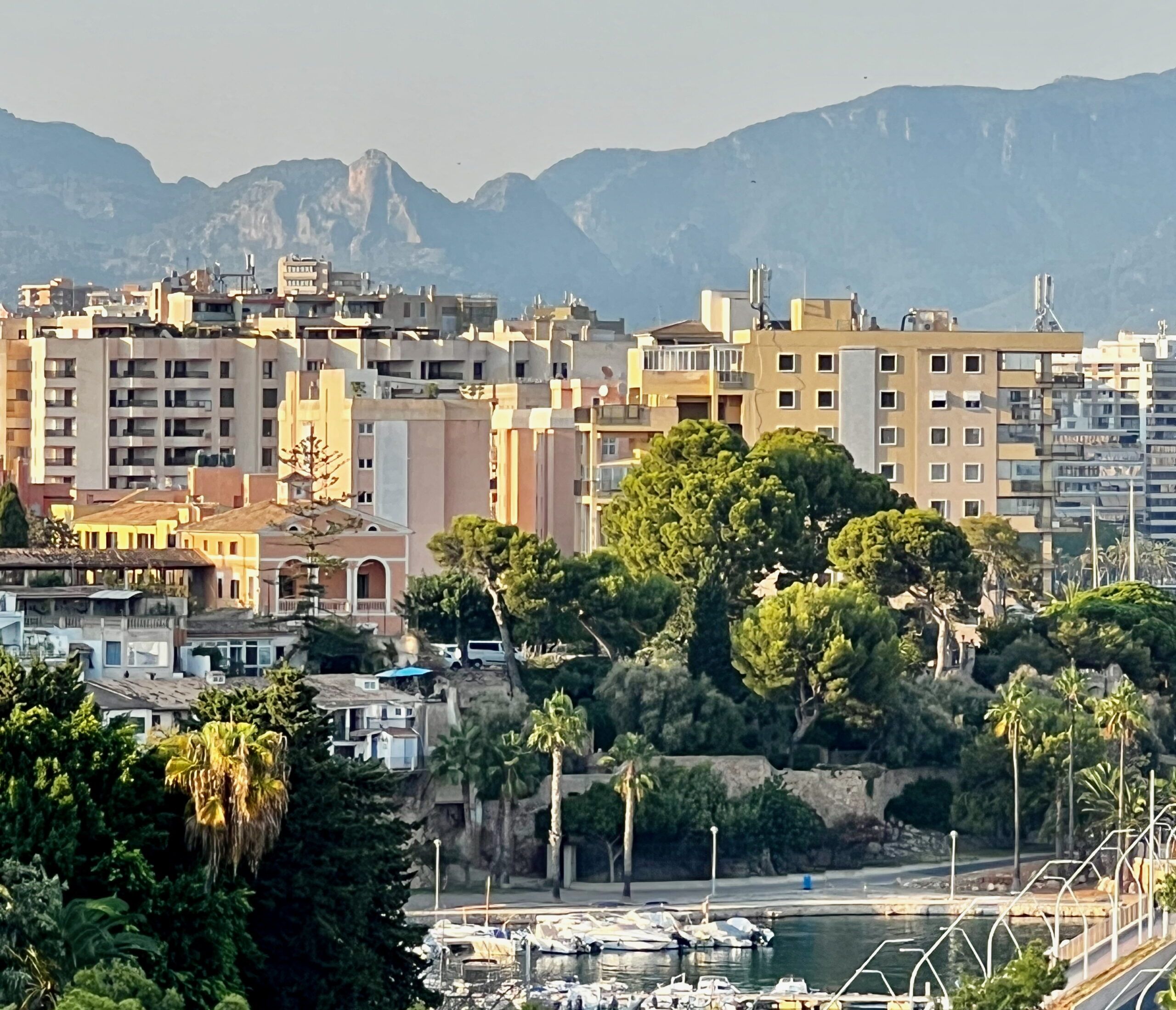 5 Minuten Mallorca | Nachrichten am 18. August 2025