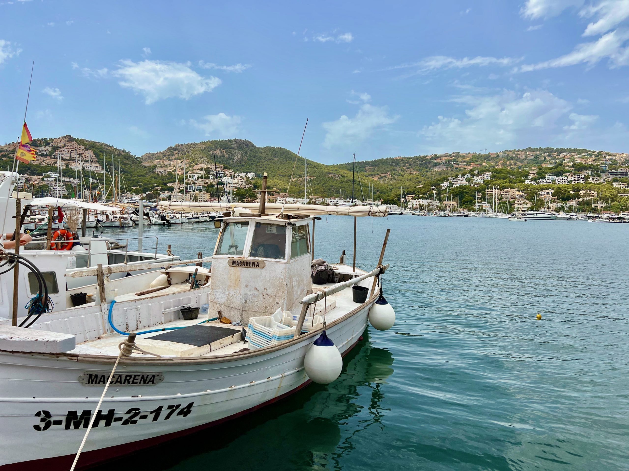 5 Minuten Mallorca |&nbsp;Nachrichten am 18. Dezember 2025