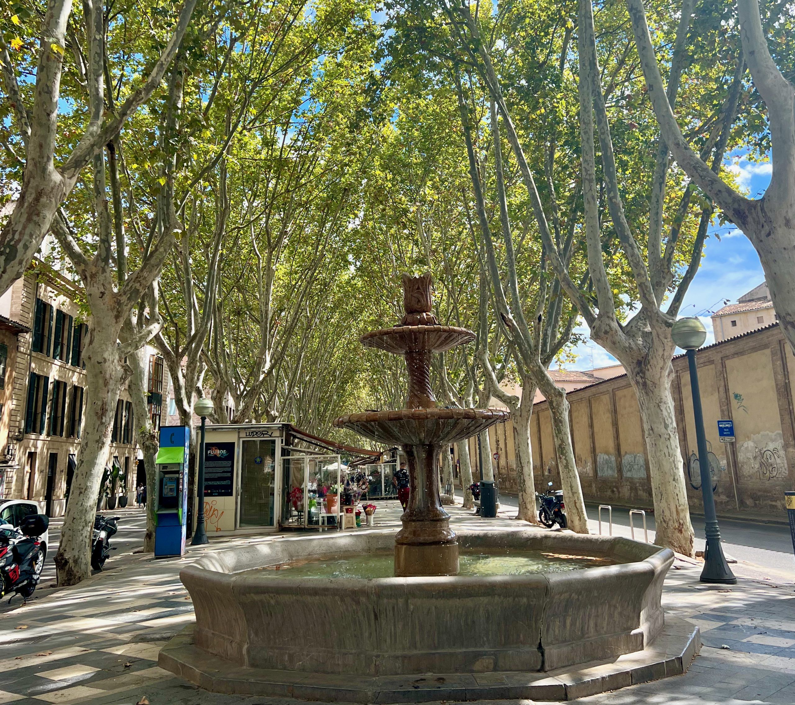 5 Minuten Mallorca | Nachrichten am 3. Oktober 2025