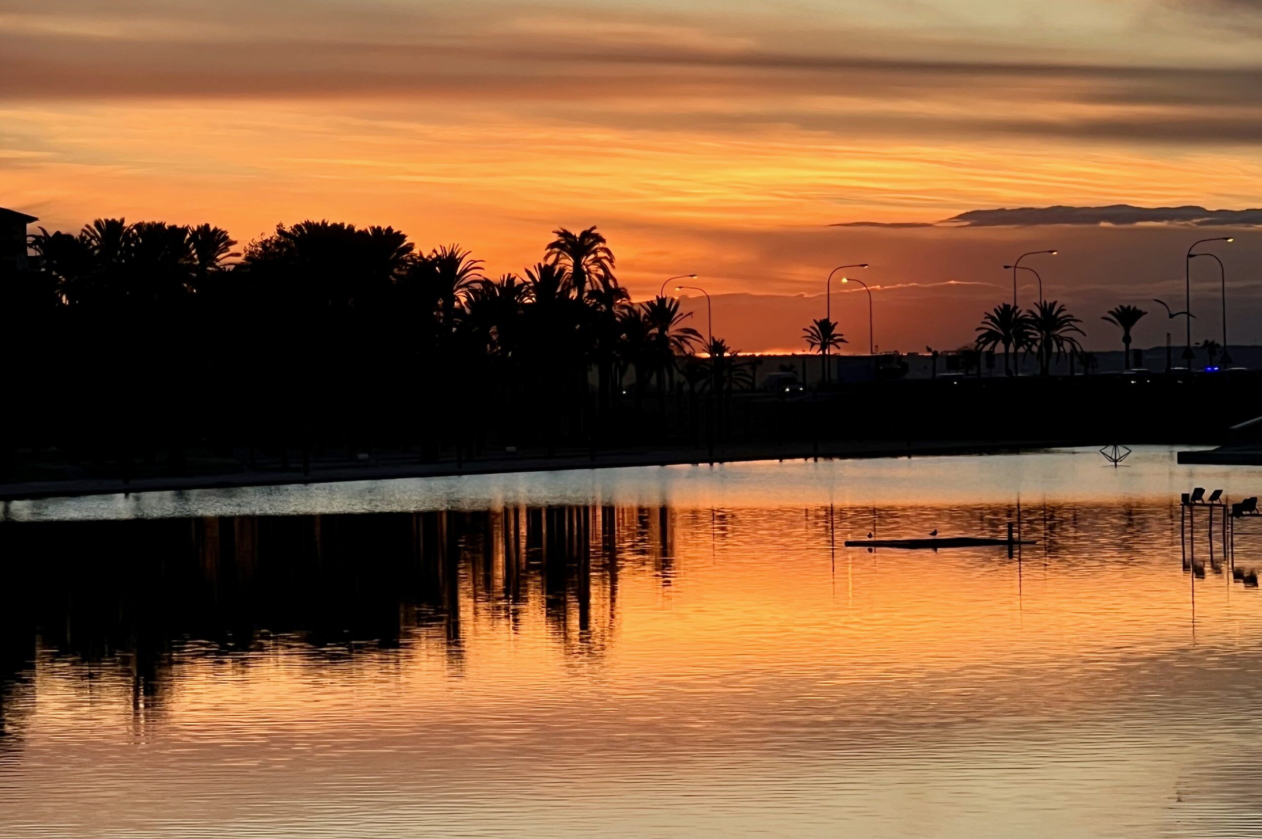 5 Minuten Mallorca |&nbsp;Nachrichten am 19. Februar 2026
