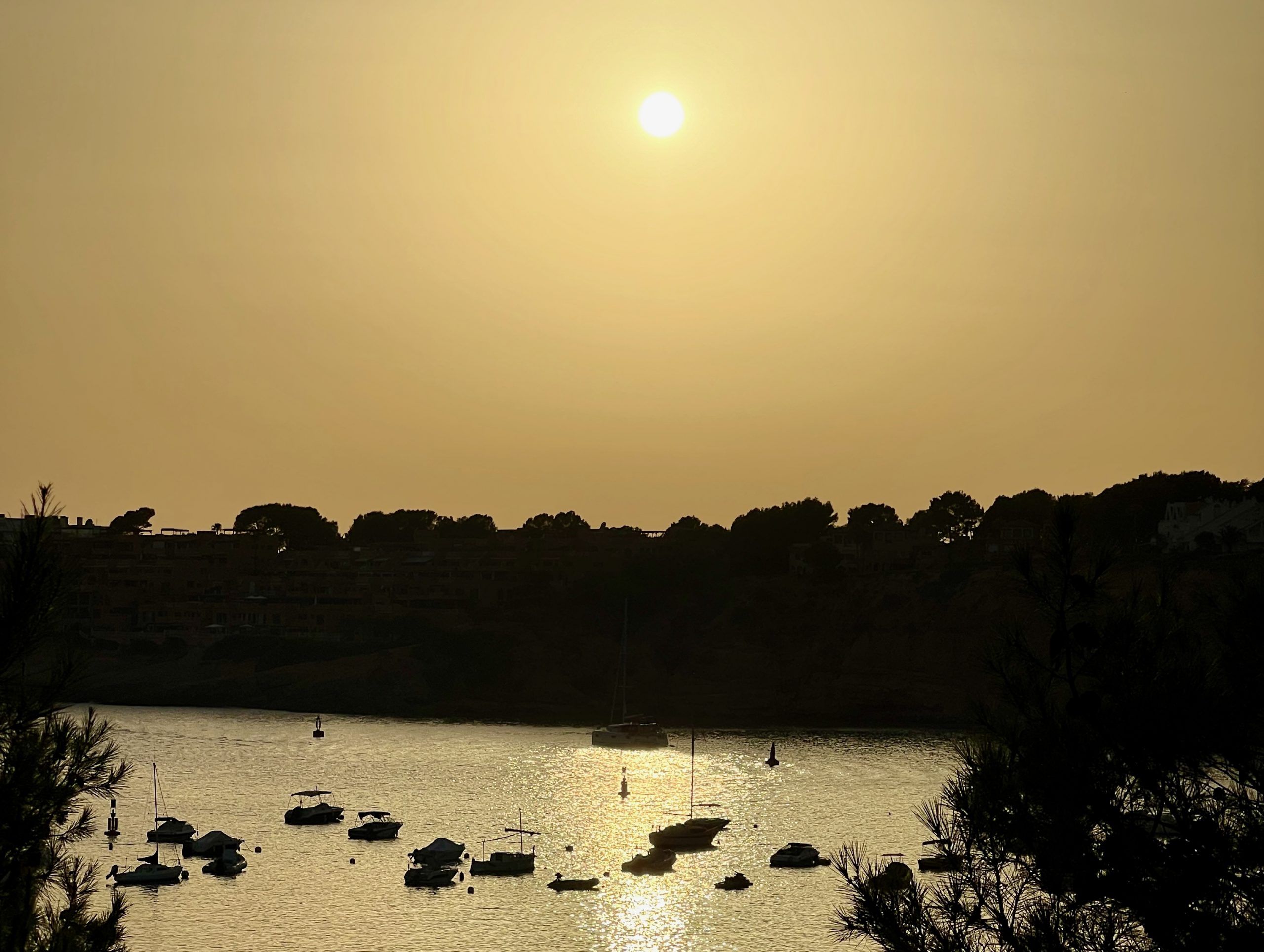 5 Minuten Mallorca | Nachrichten am 8. August 2025