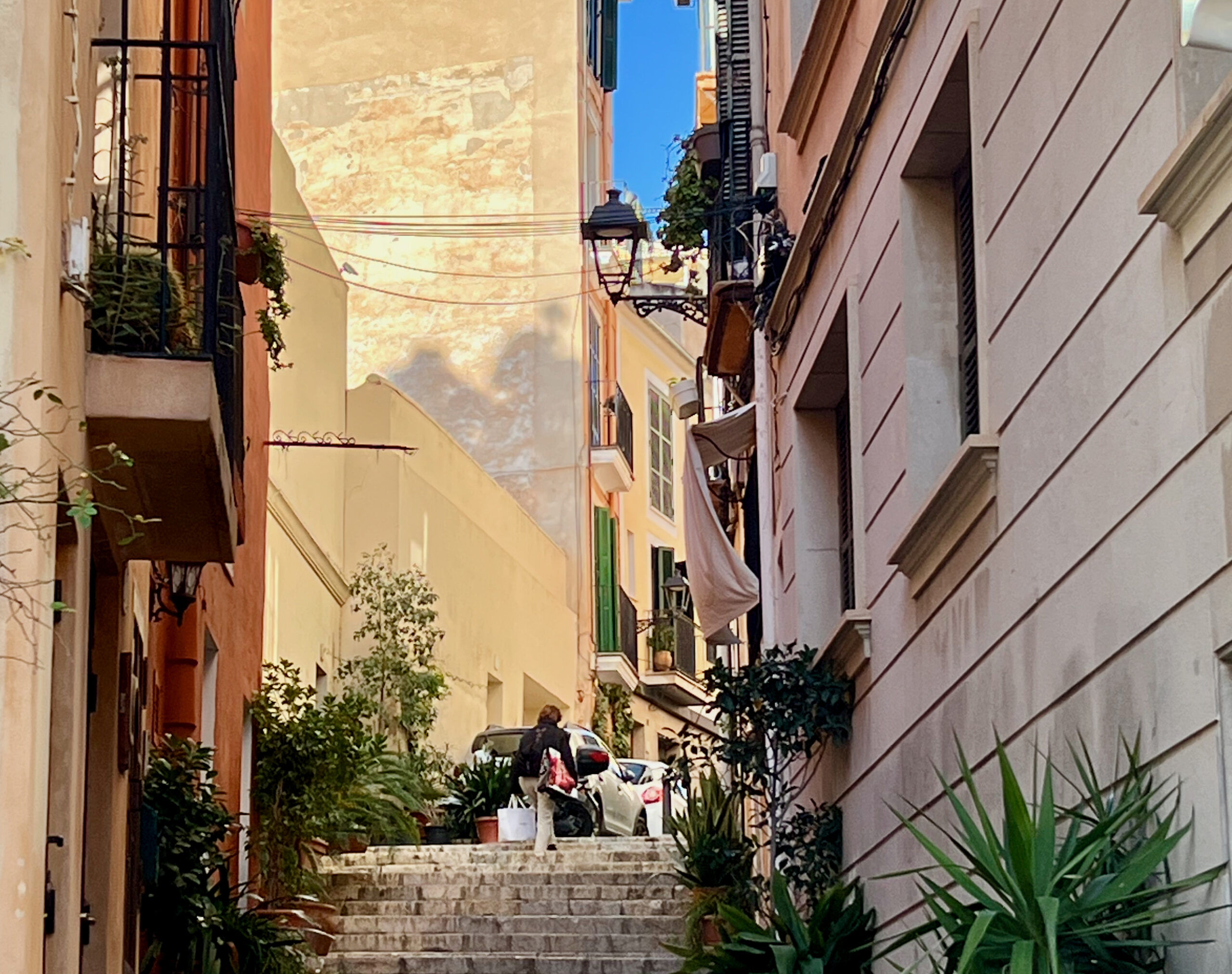 5 Minuten Mallorca | Nachrichten am 11. November 2025