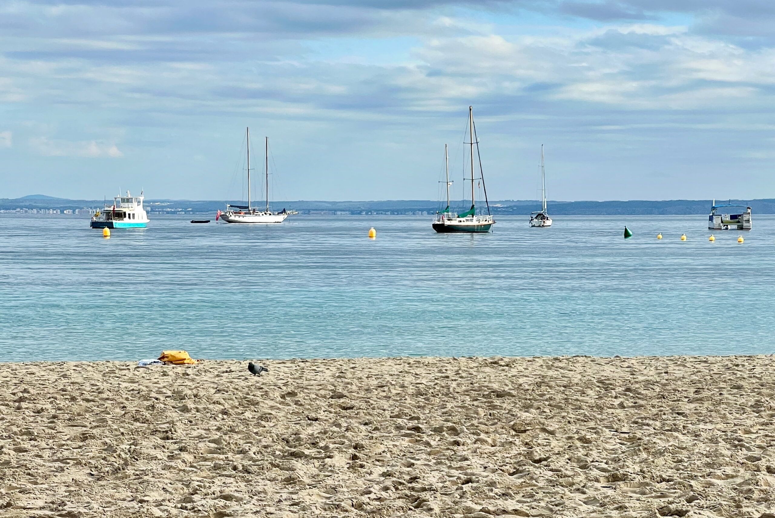5 Minuten Mallorca | Nachrichten am 2. Januar 2026