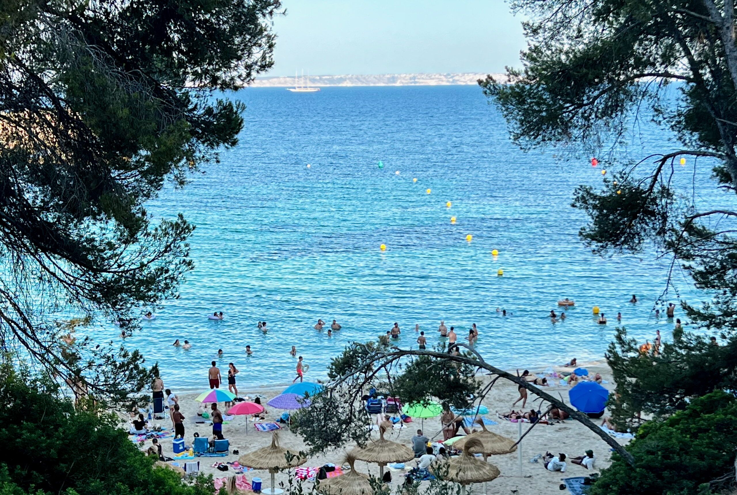 5 Minuten Mallorca | Nachrichten am 13. August 2025