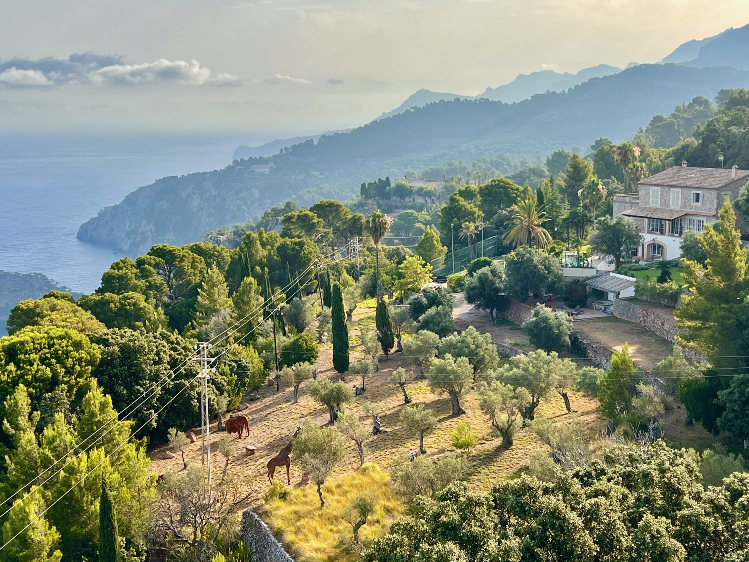 5 Minuten Mallorca |&nbsp;Nachrichten am 20. Februar 2026