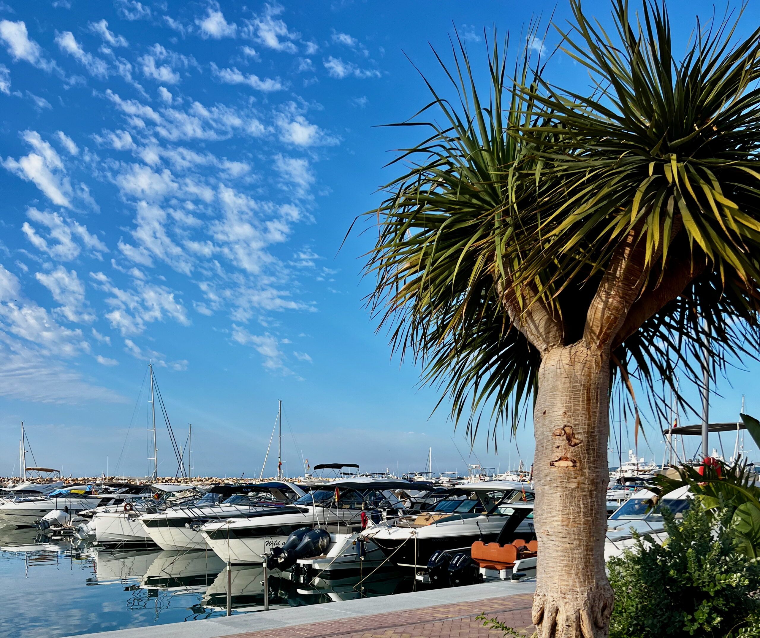 5 Minuten Mallorca | Nachrichten am 21. Juli 2025