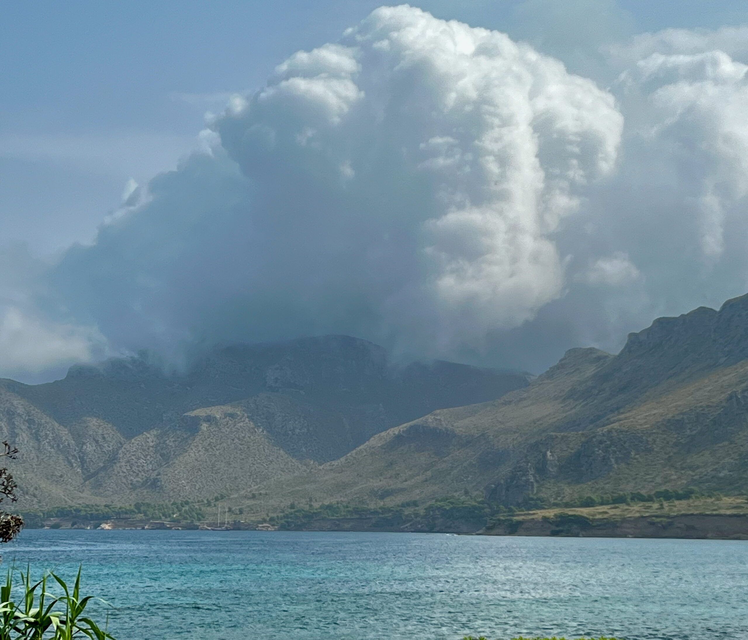5 Minuten Mallorca |&nbsp;Nachrichten am 24. Januar 2026
