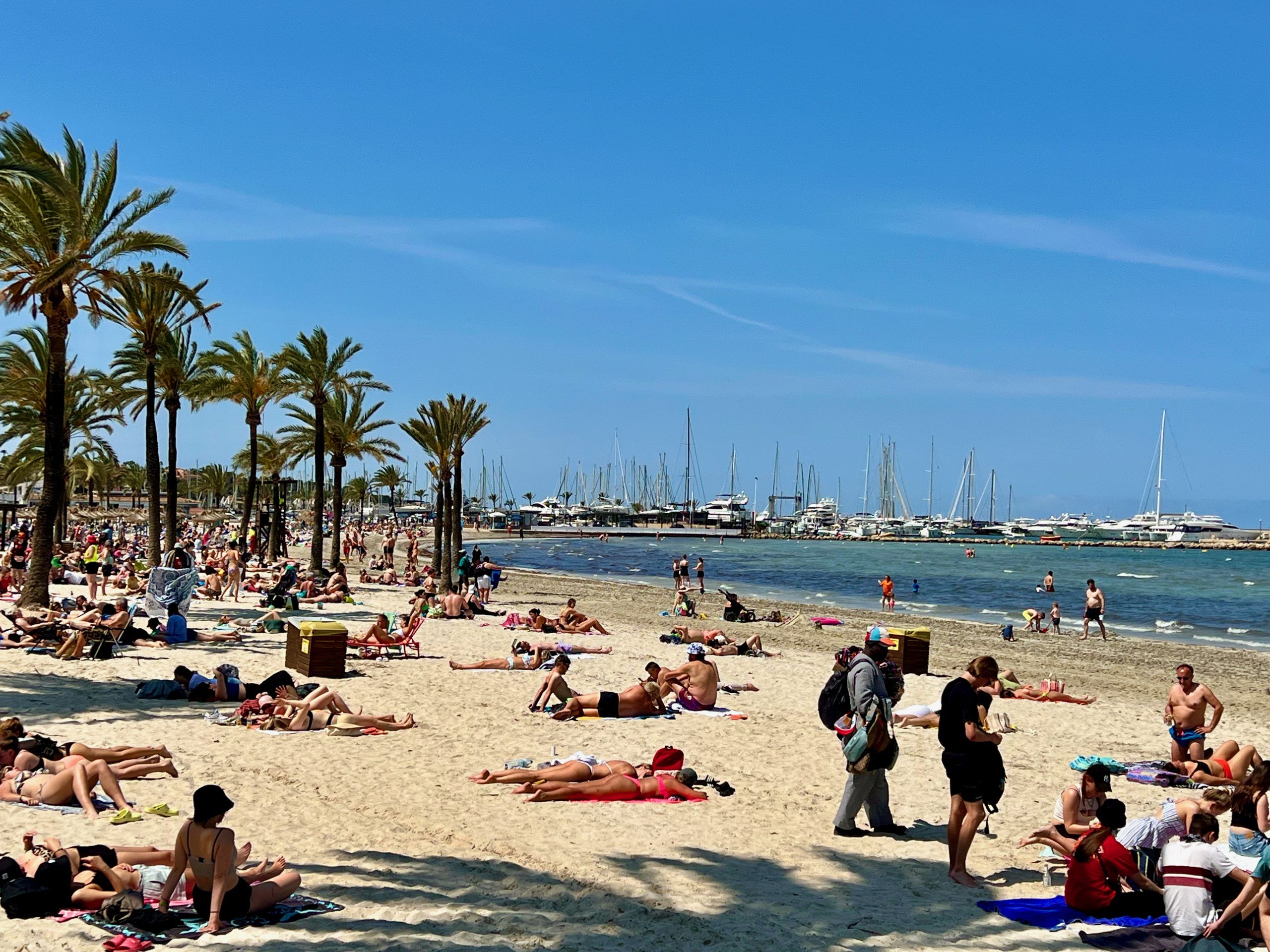 5 Minuten Mallorca | Nachrichten am 26. August 2025
