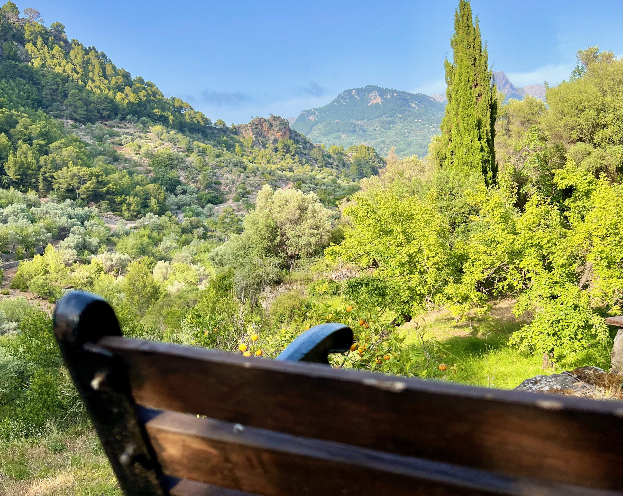 5 Minuten Mallorca |&nbsp;Nachrichten am 29. Dezember 2025