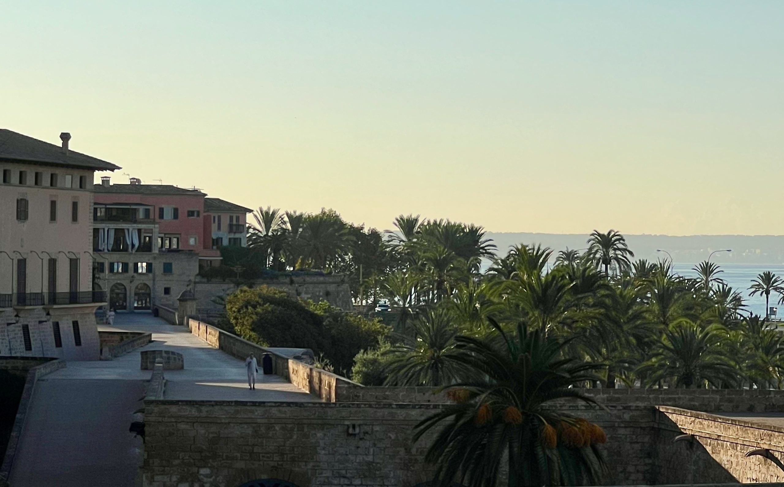 5 Minuten Mallorca |&nbsp;Nachrichten am 29. Januar 2026