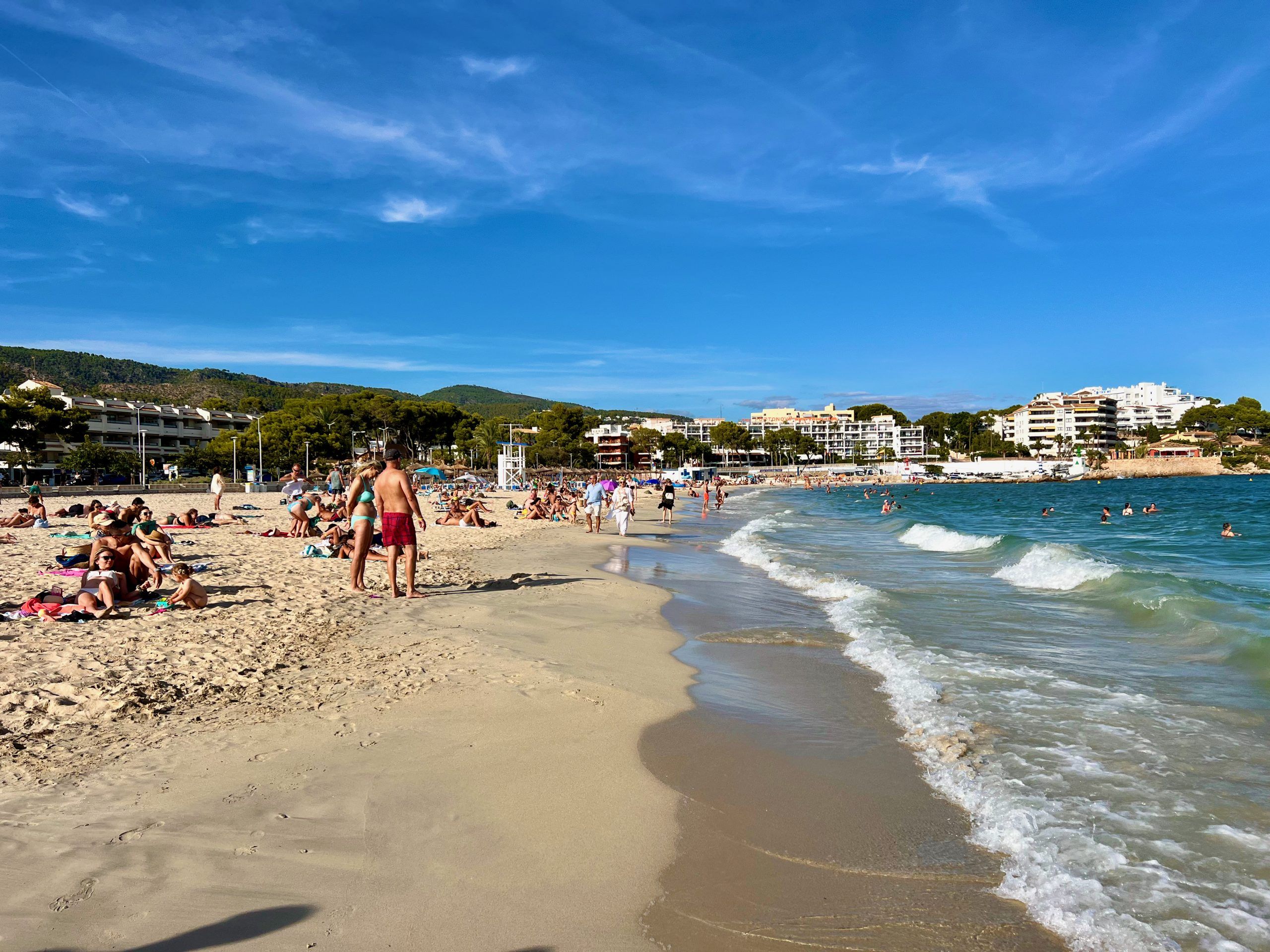 5 Minuten Mallorca | Nachrichten am 1. August 2025