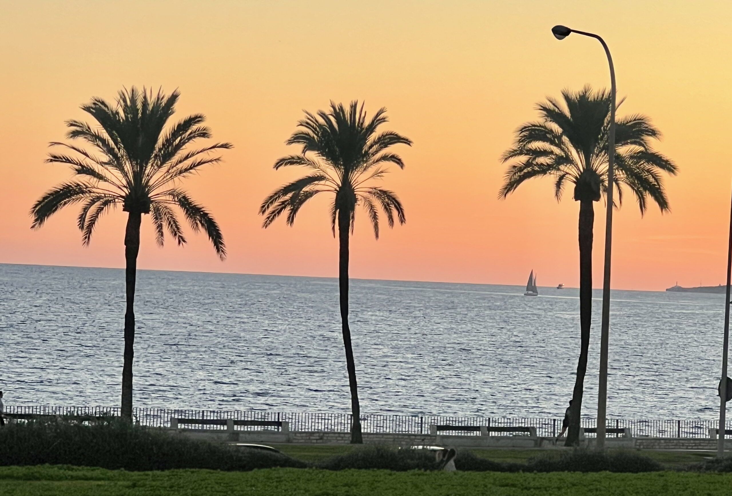 5 Minuten Mallorca | Nachrichten am 5. November 2025