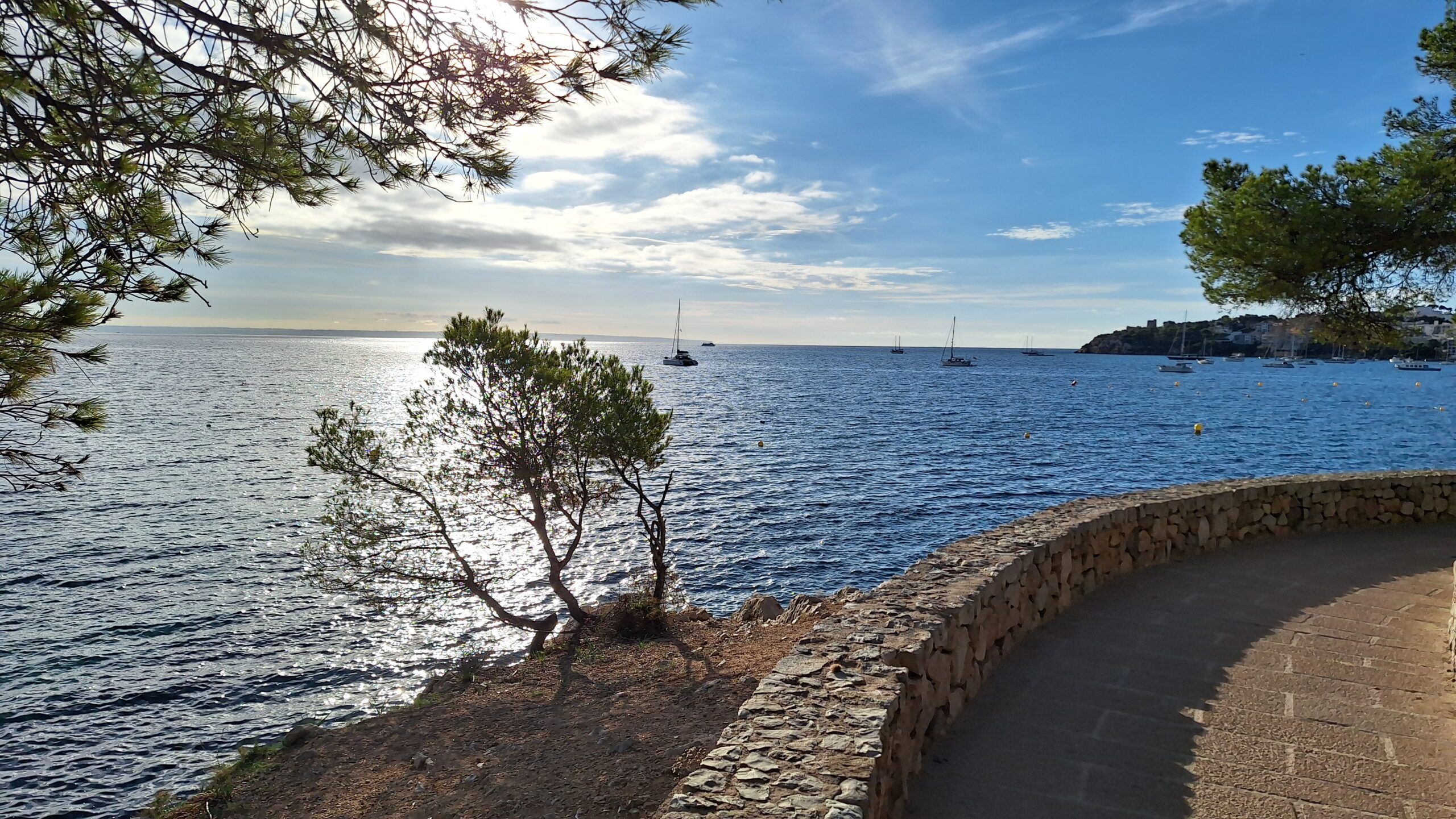 5 Minuten Mallorca |&nbsp;Nachrichten am 6. Januar 2026