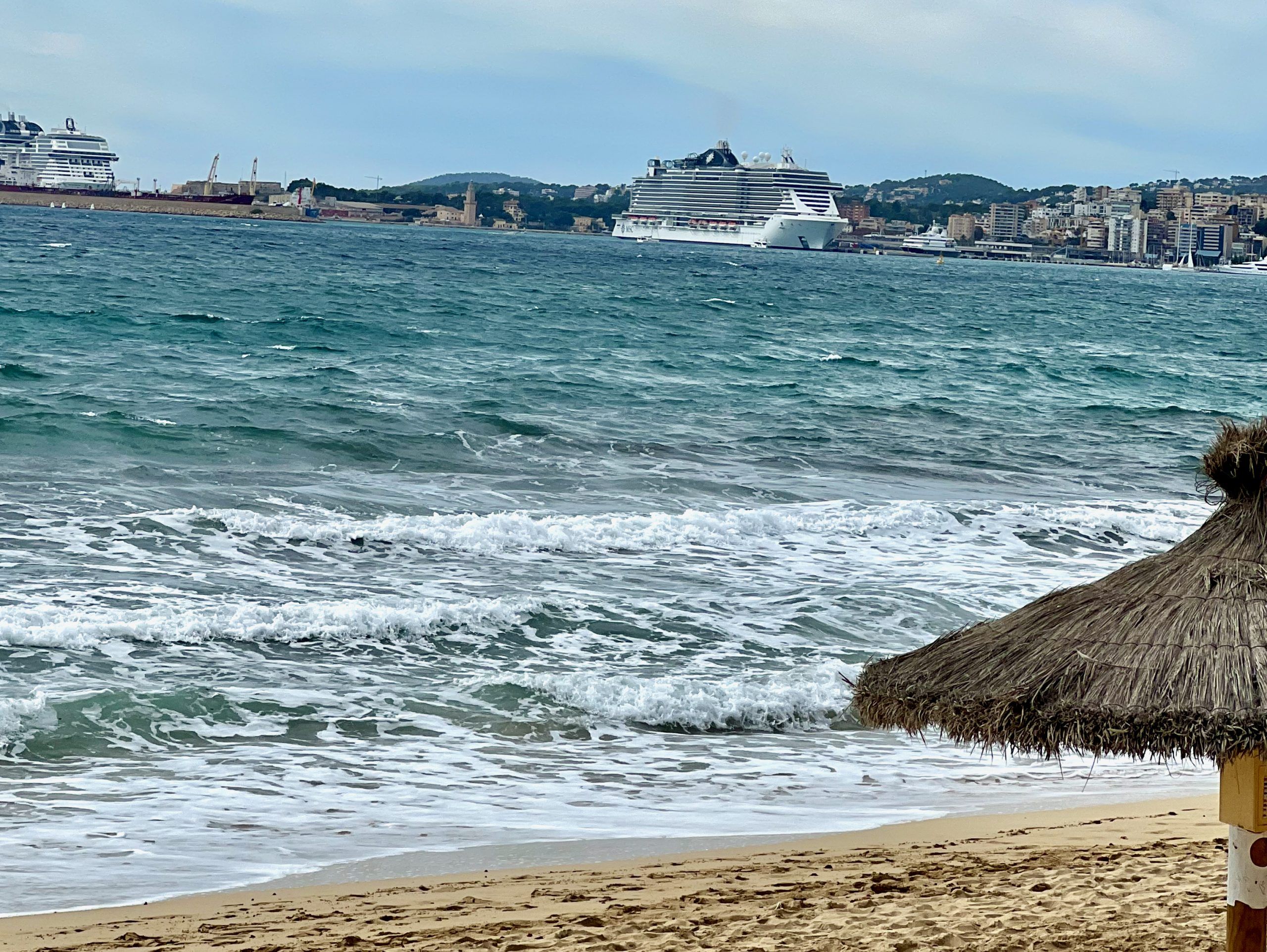 5 Minuten Mallorca | Nachrichten am 22. Januar 2026
