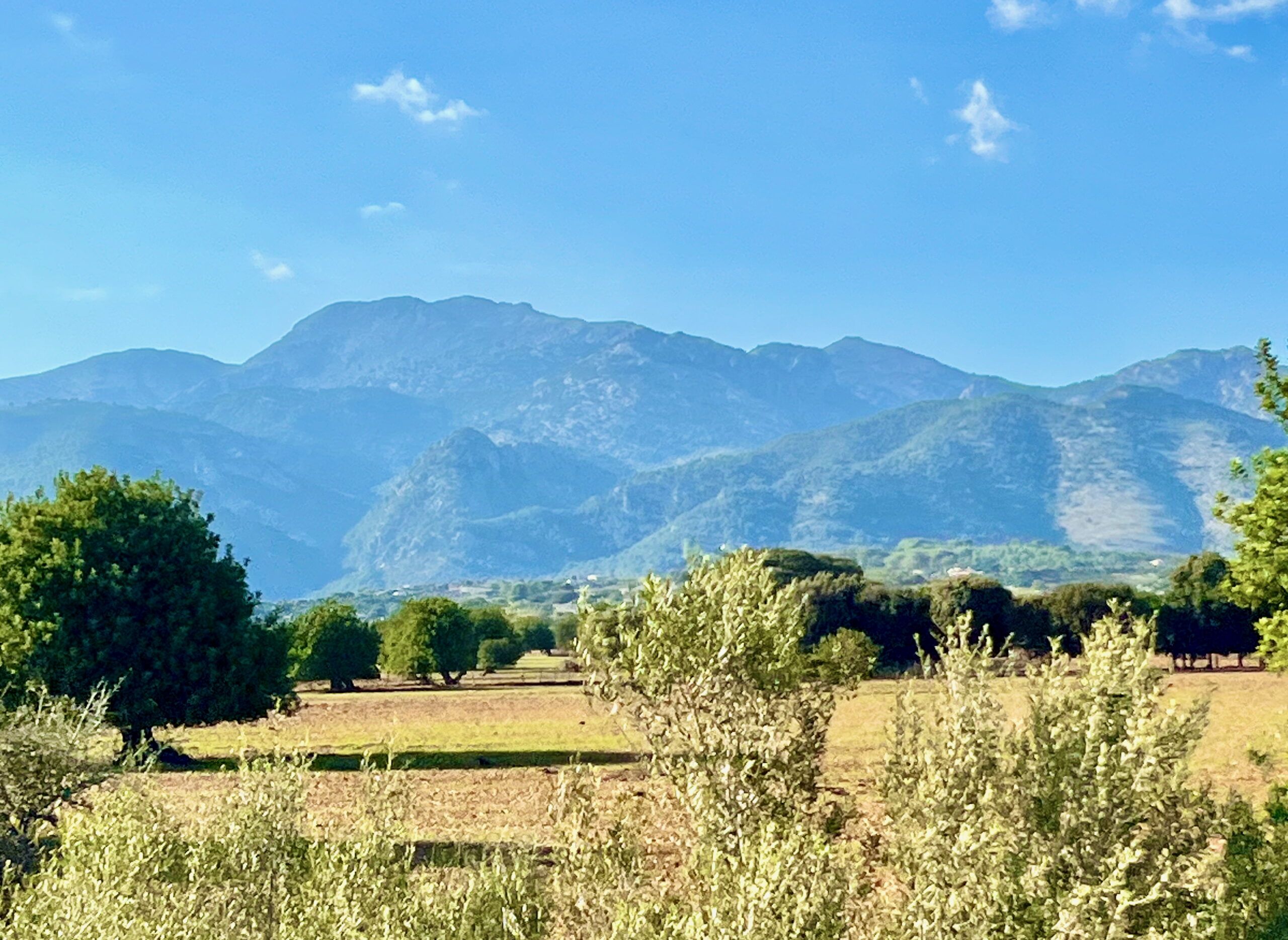 5 Minuten Mallorca | Nachrichten am 7. Oktober 2025