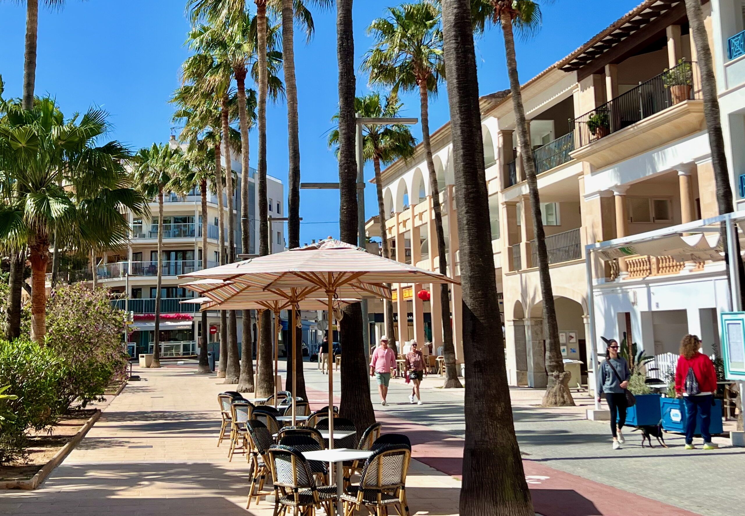 5 Minuten Mallorca | Nachrichten am 14. Oktober 2025