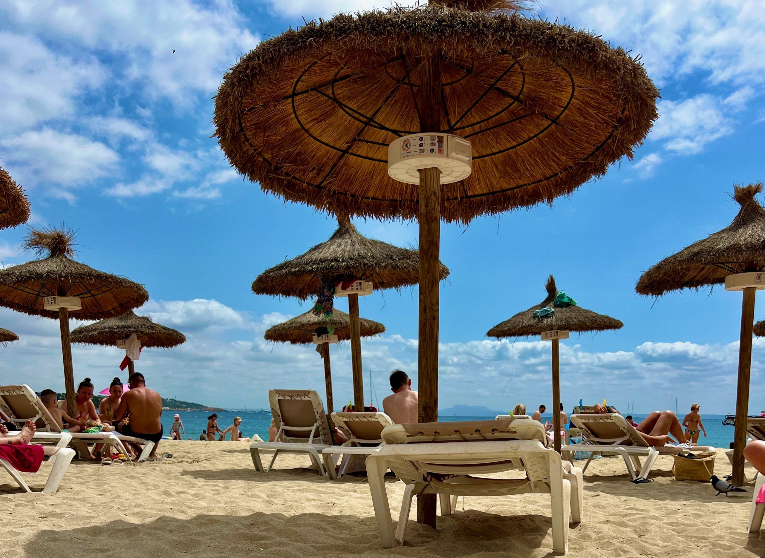 5 Minuten Mallorca |&nbsp;Nachrichten am 8. Dezember 2025