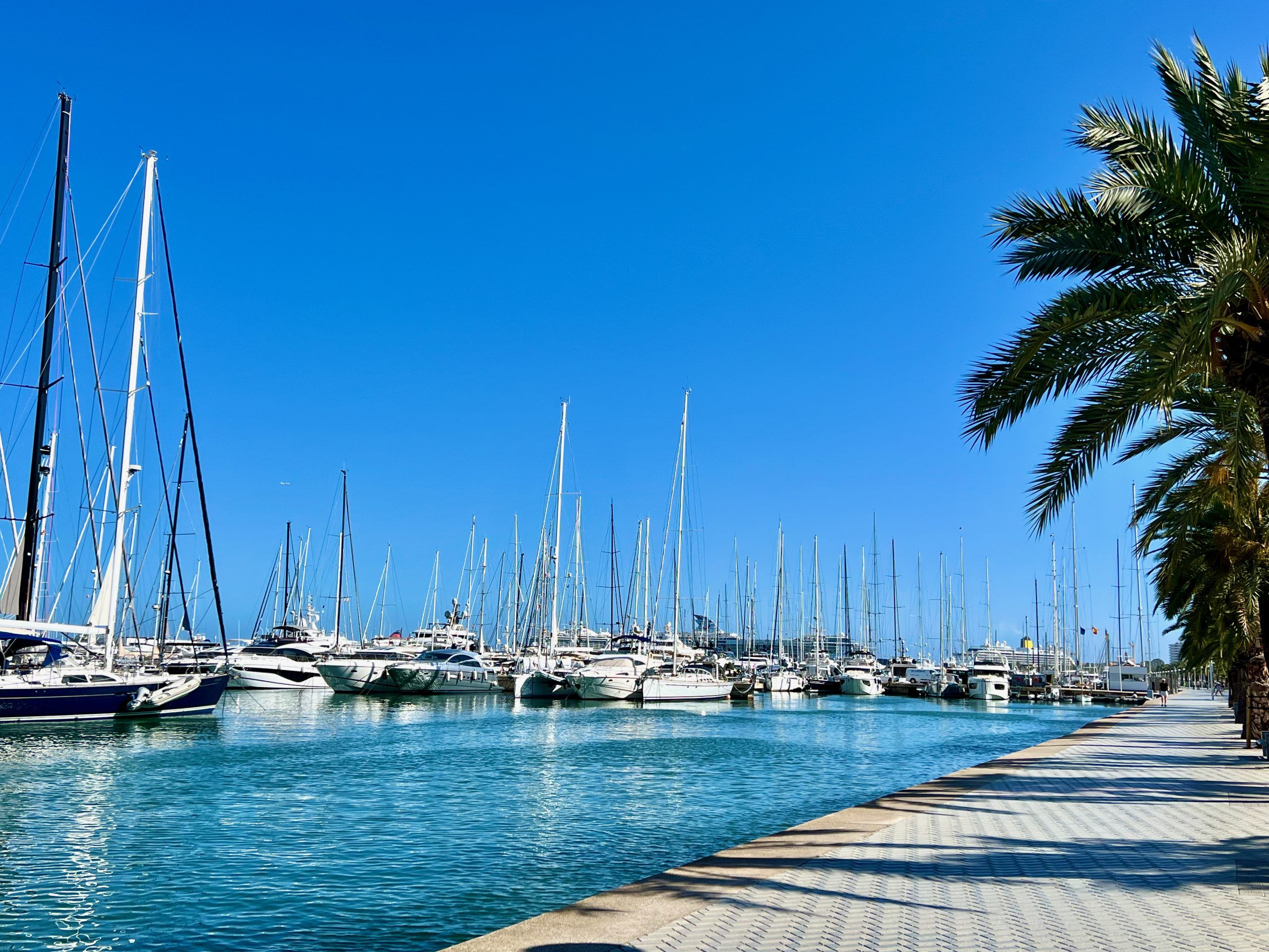 5 Minuten Mallorca | Nachrichten am 11. August 2025