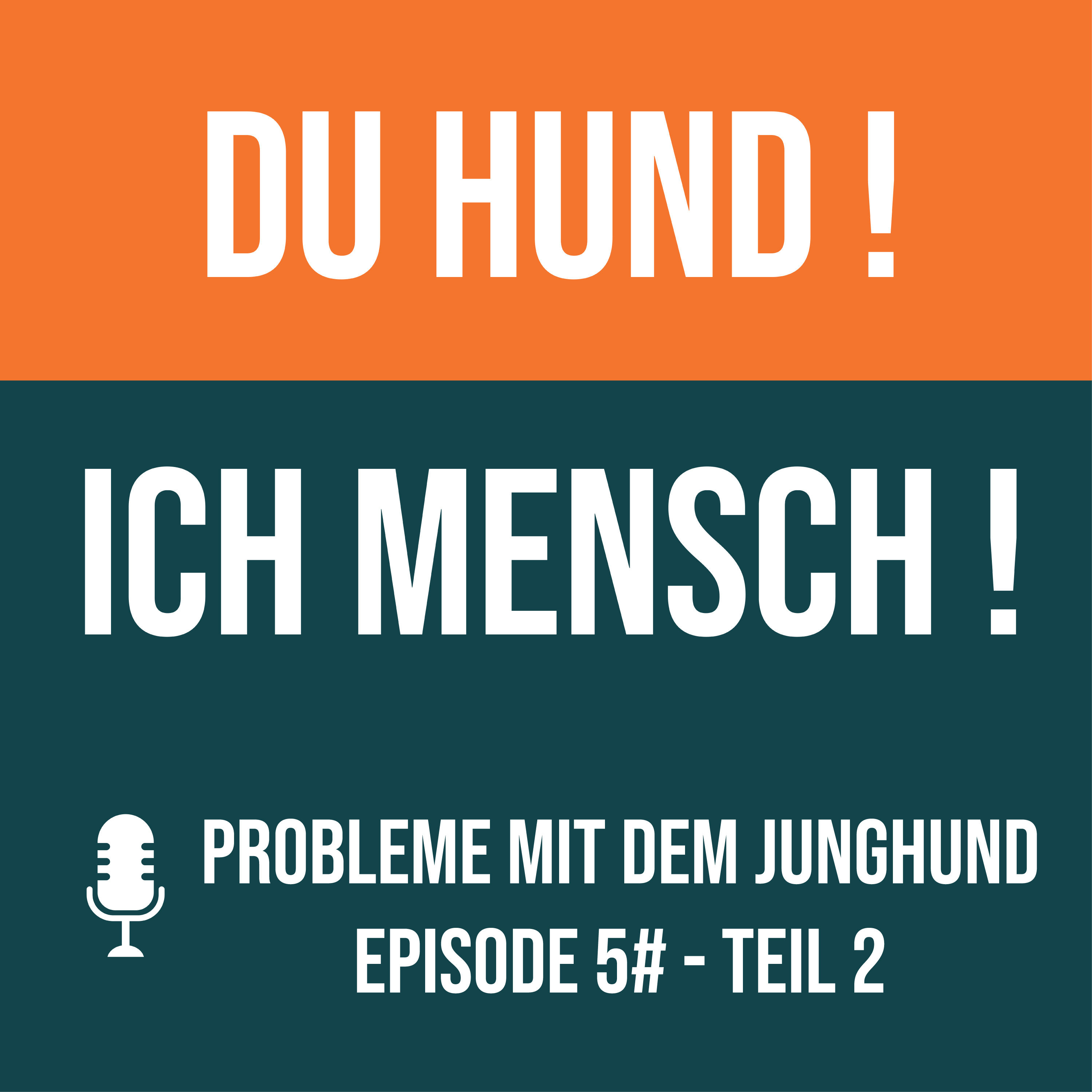 5# Probleme mit dem Junghund - Teil 2