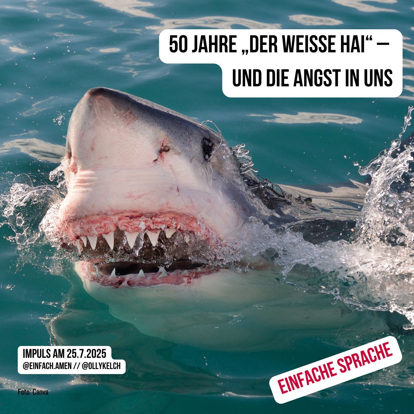 50 Jahre „Der weiße Hai“ – und die Angst in uns (25.7.2025)