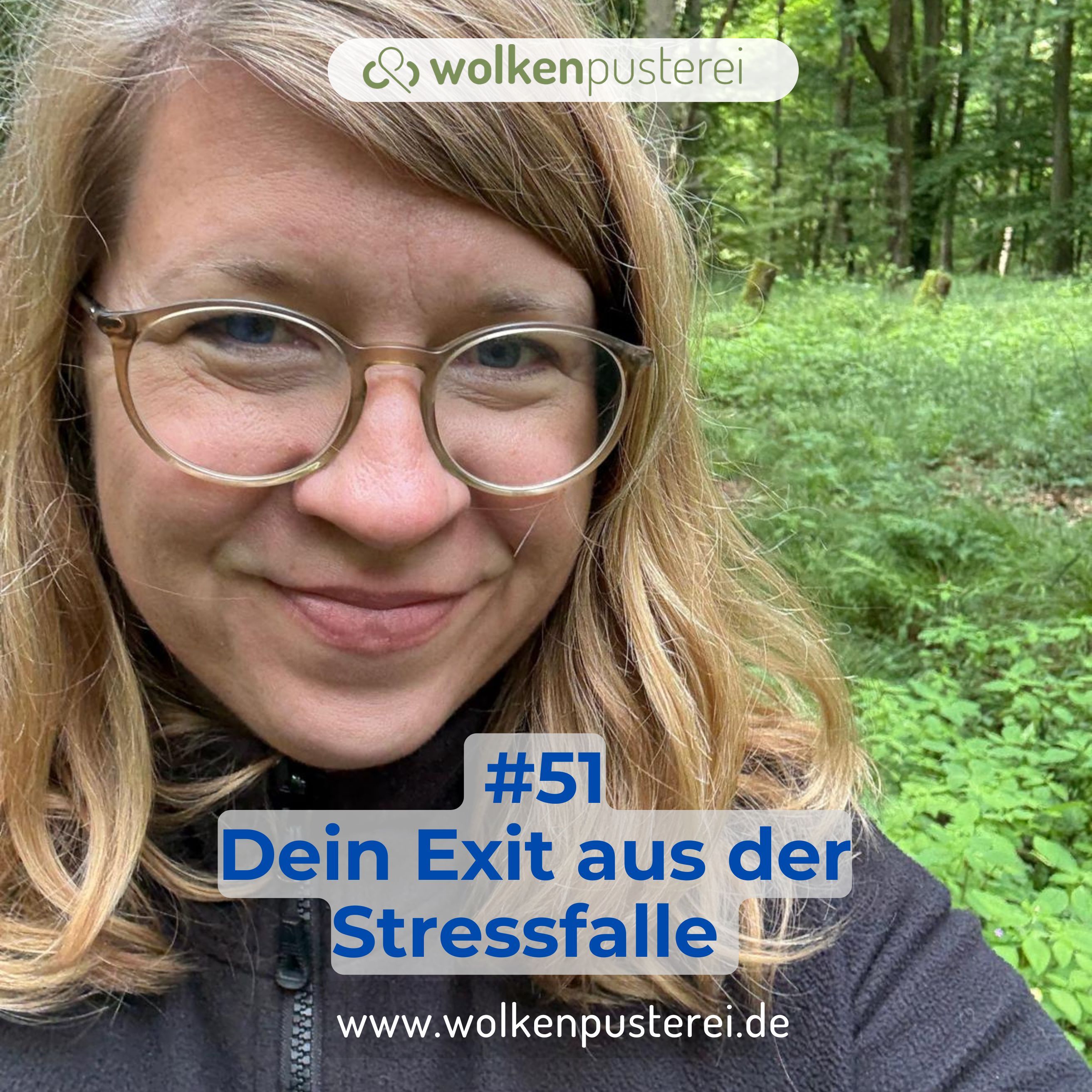 #51 Dein Exit aus der Stressfalle - drei Erfolgsstrategien
