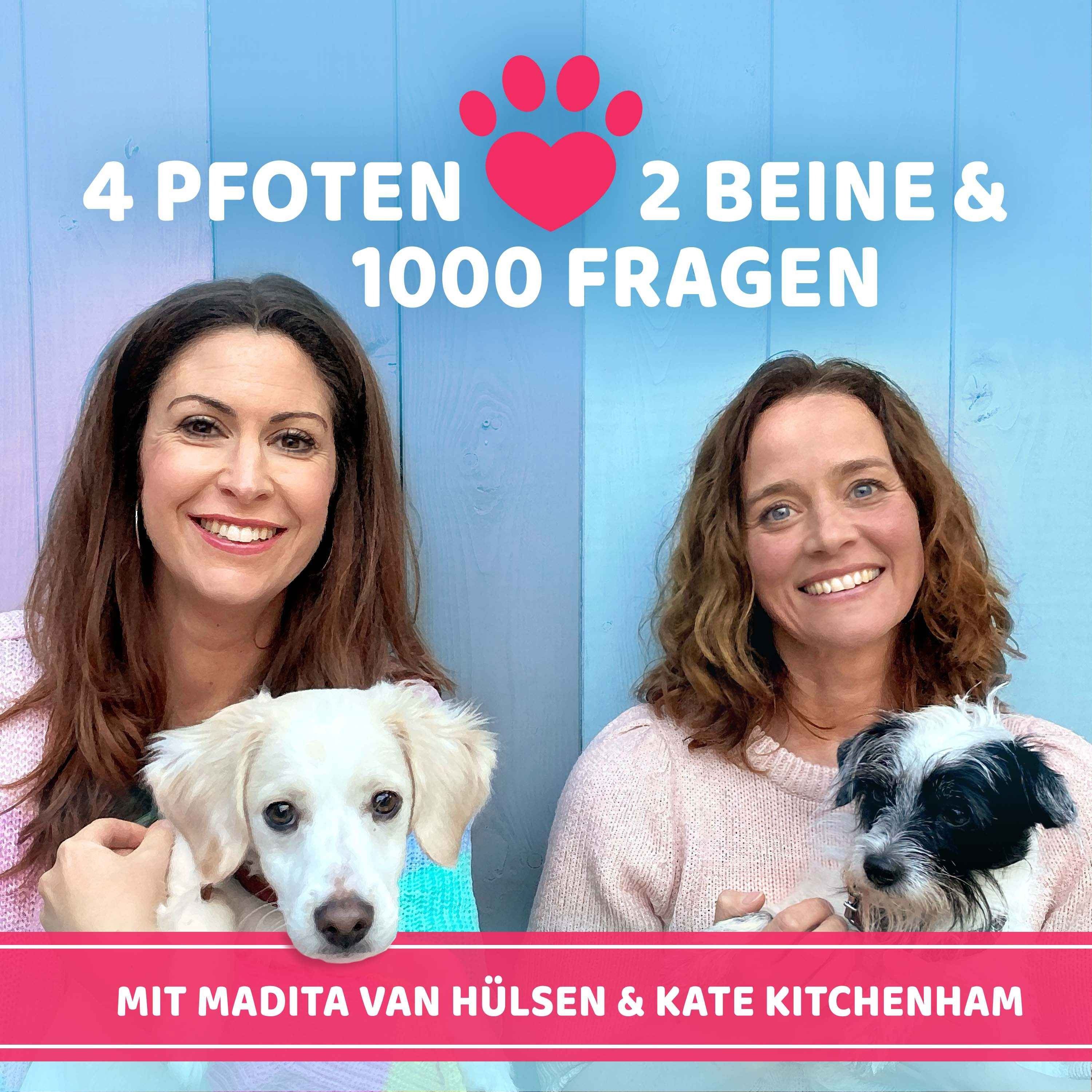 51. Futtermäkler! Erziehungsversagen oder Eigenart?