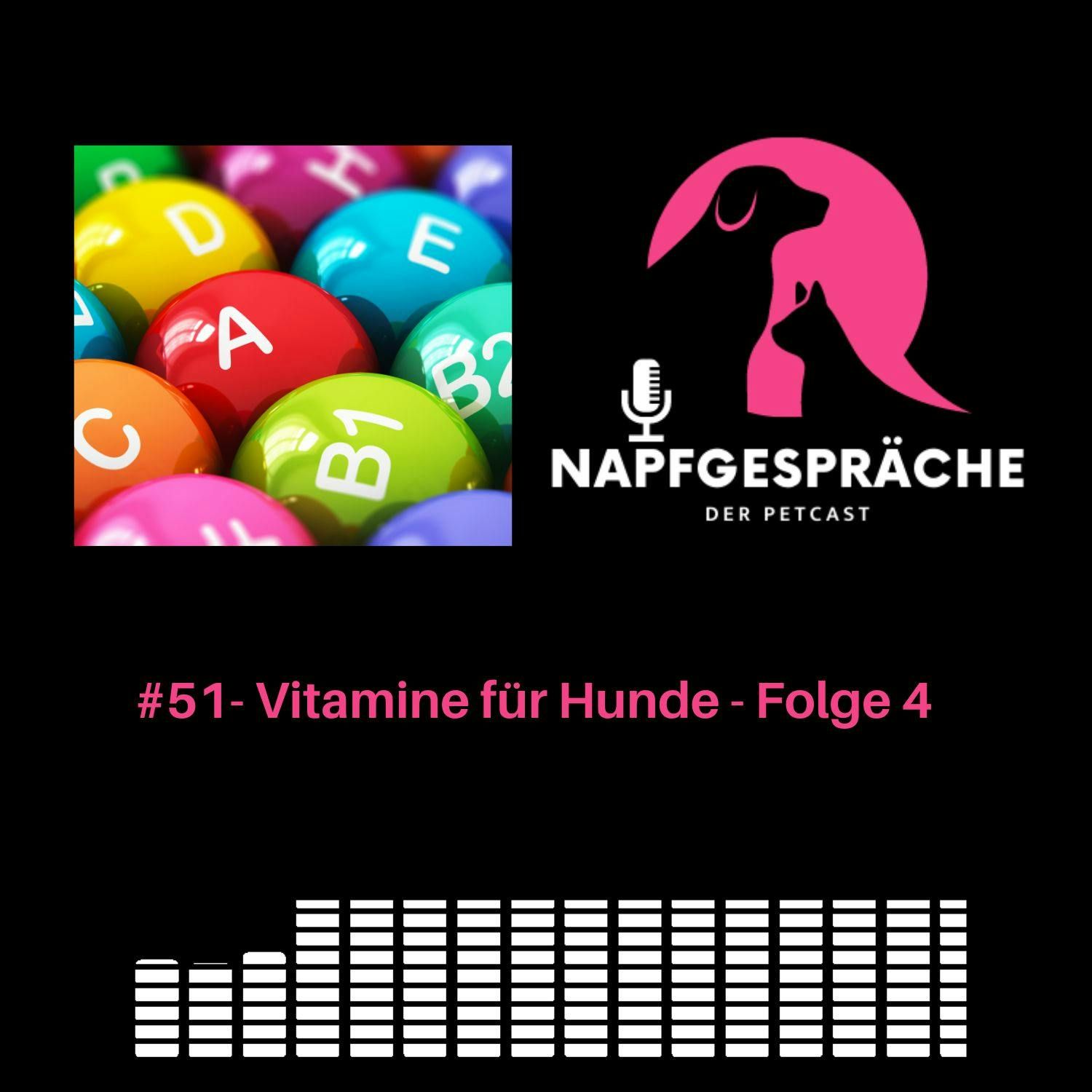 #51- Vitamine für Hunde - Folge 4 v. 6