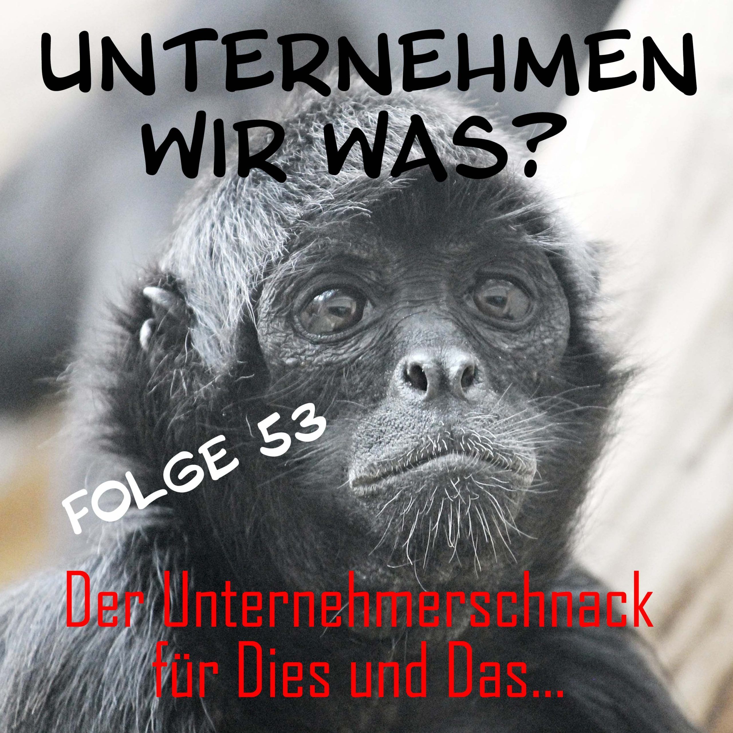 #53 Die verlorene Folge