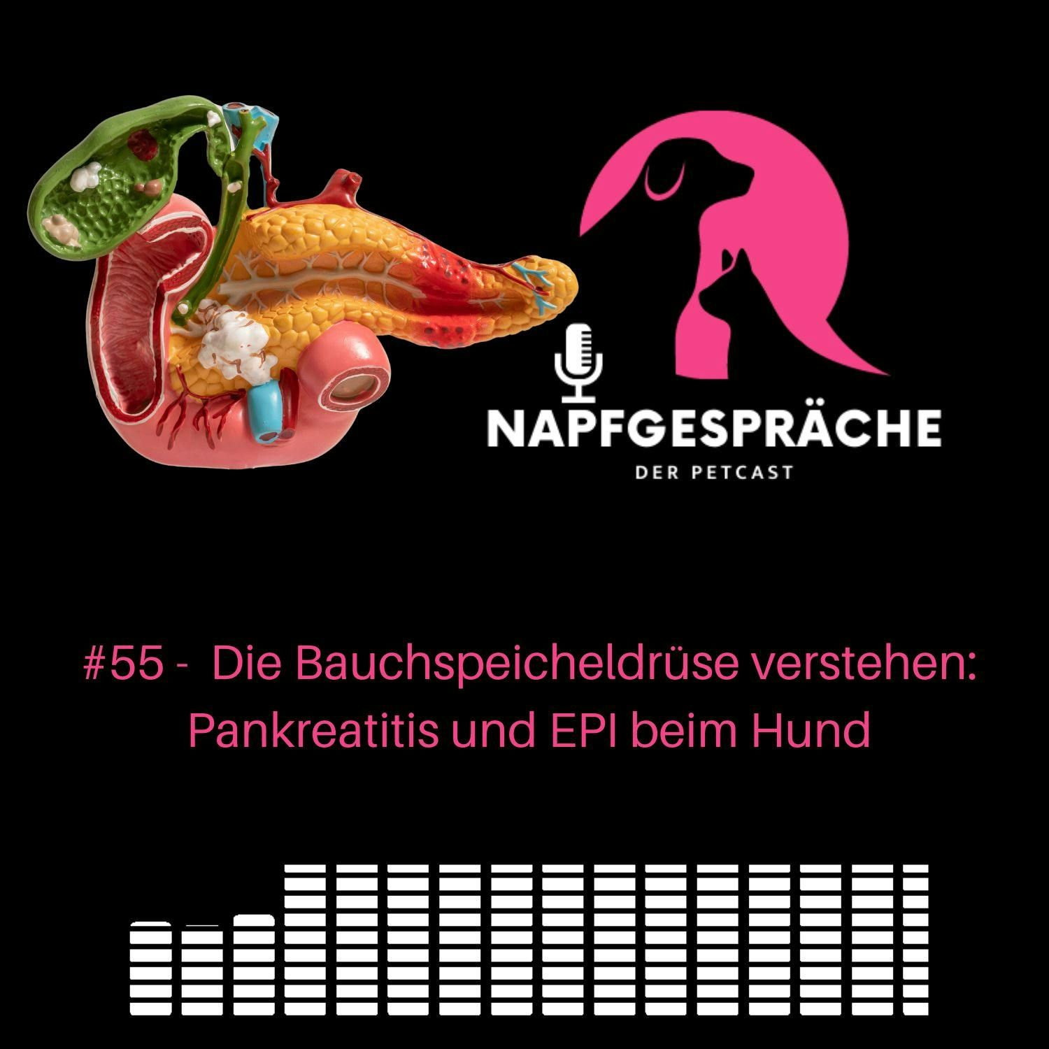 #55 - Die Bauchspeicheldrüse des Hundes verstehen
