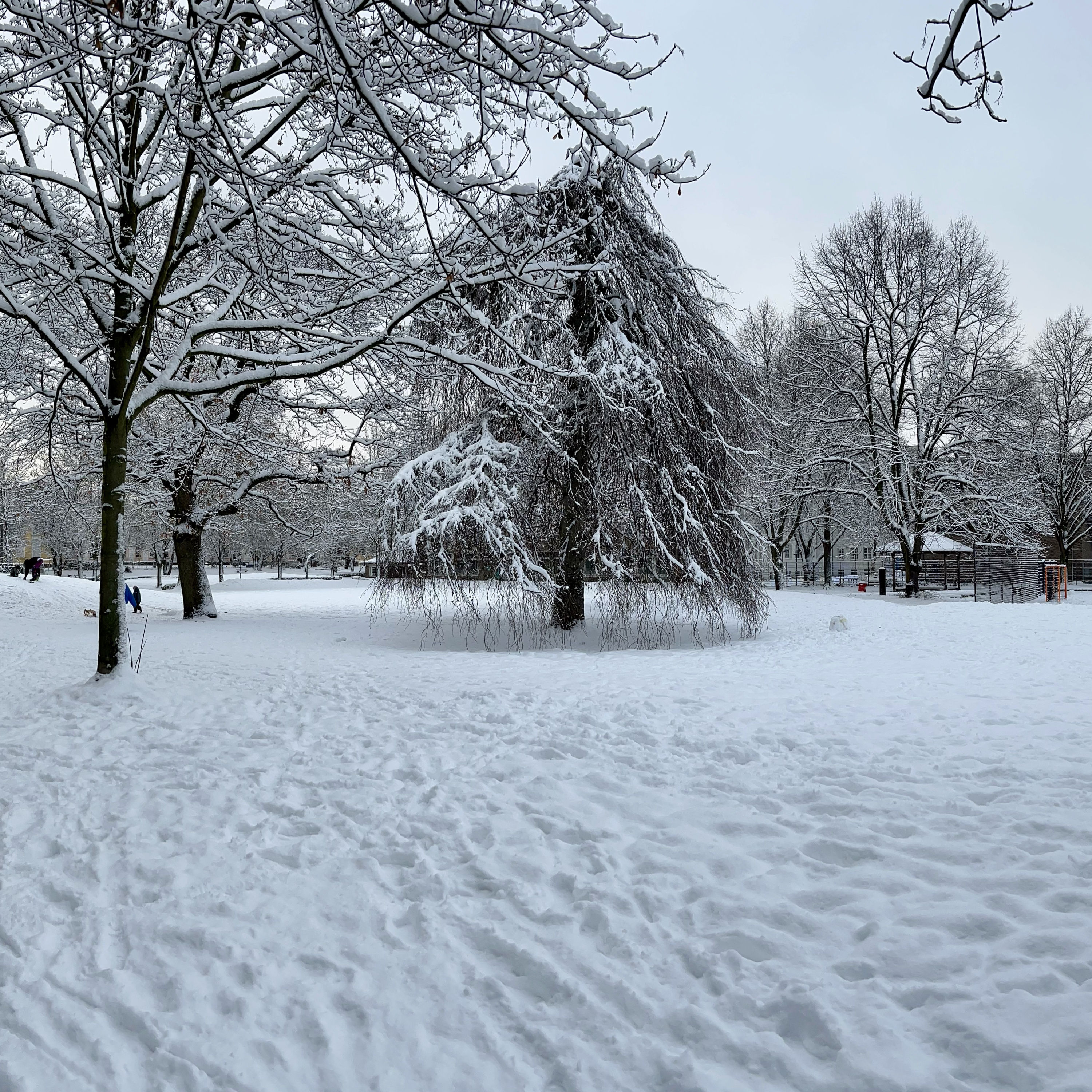 #55 Genug Licht für diesen Winter