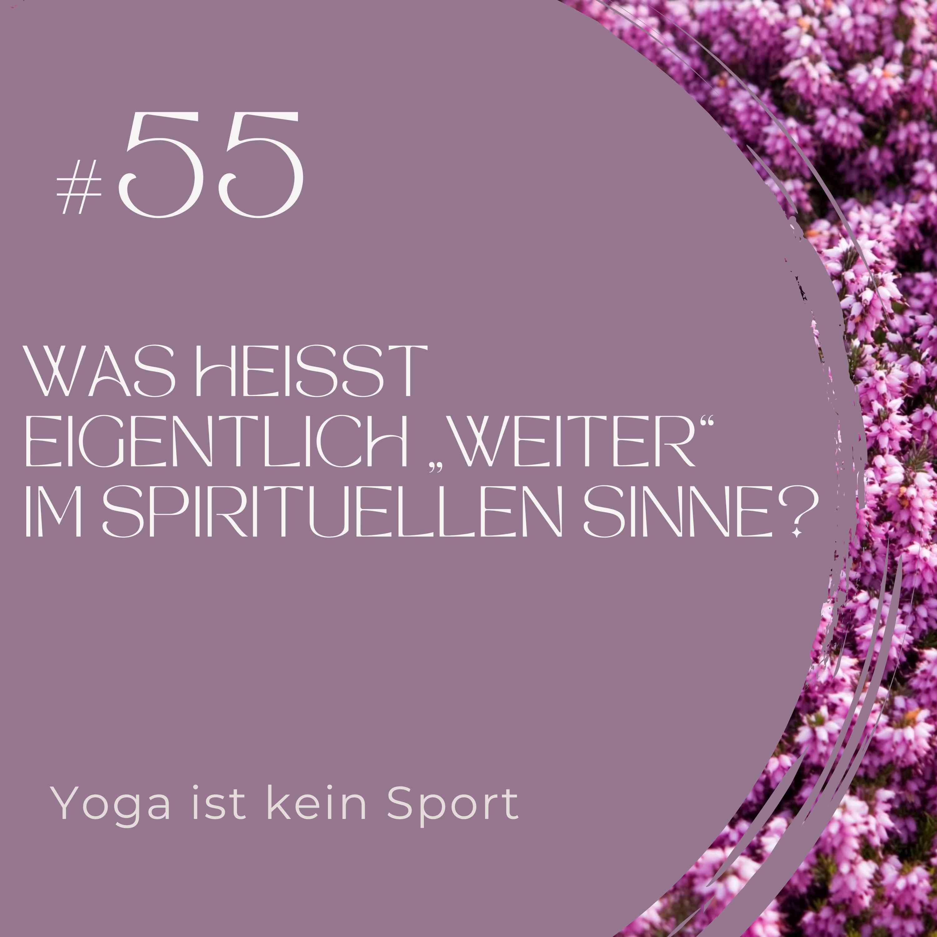 #55 Was heißt eigentlich „weiter“ im spirituellen Sinne?