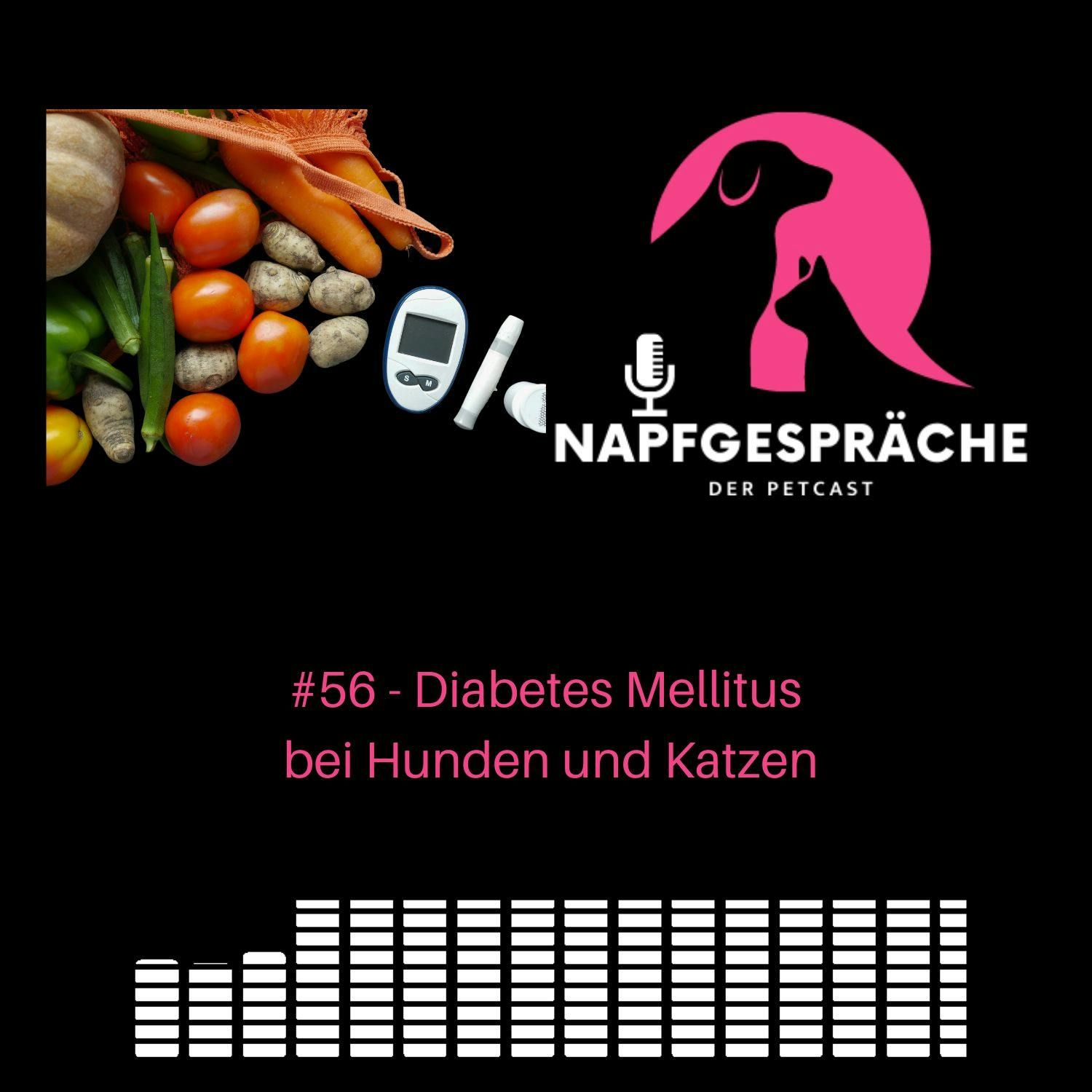 #56 - Diabetes mellitus bei Hunden und Katzen