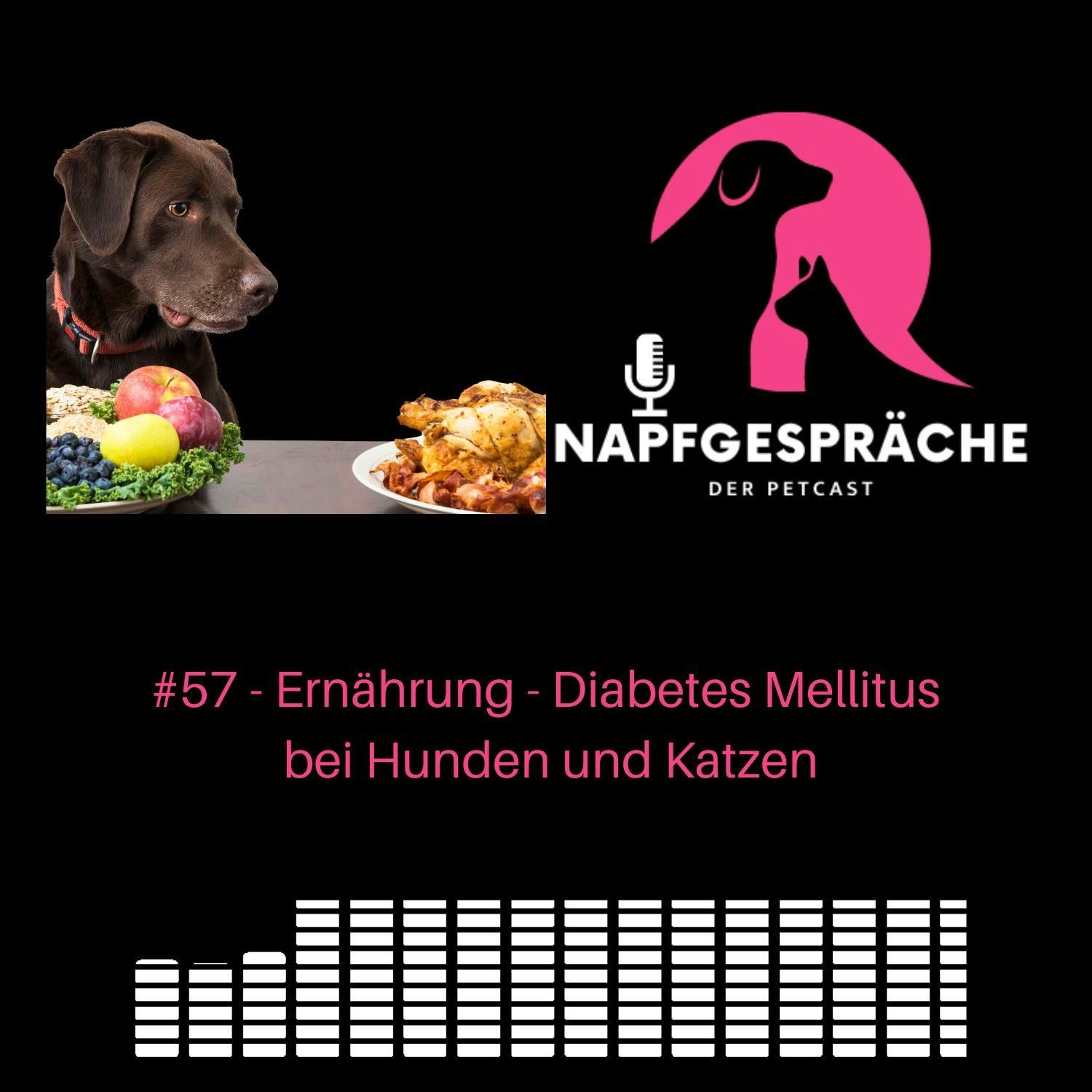 #57 - Diabetes Mellitus - Ernährung von Hunden und Katzen