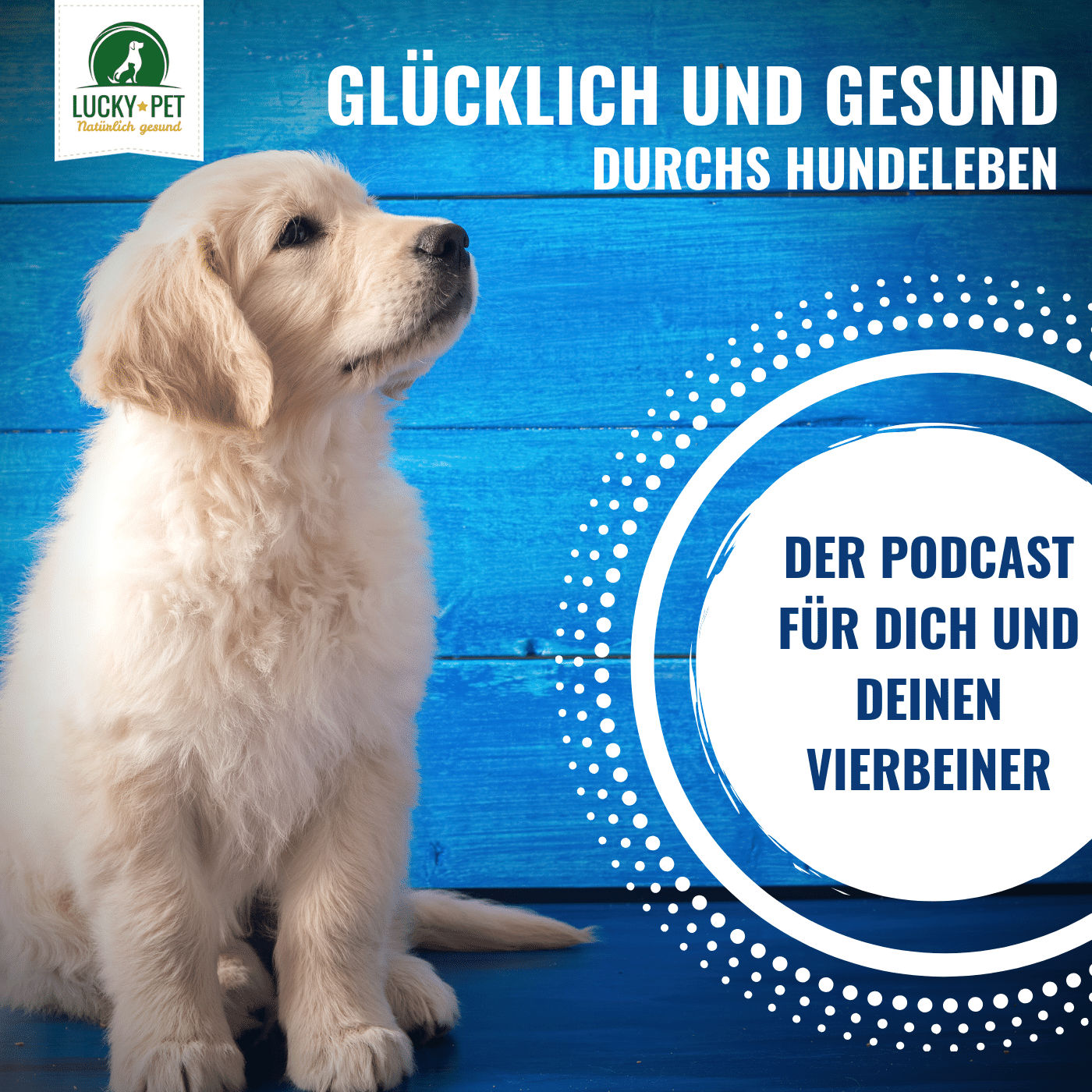 Glücklich und gesund durchs Hundeleben - Podcast