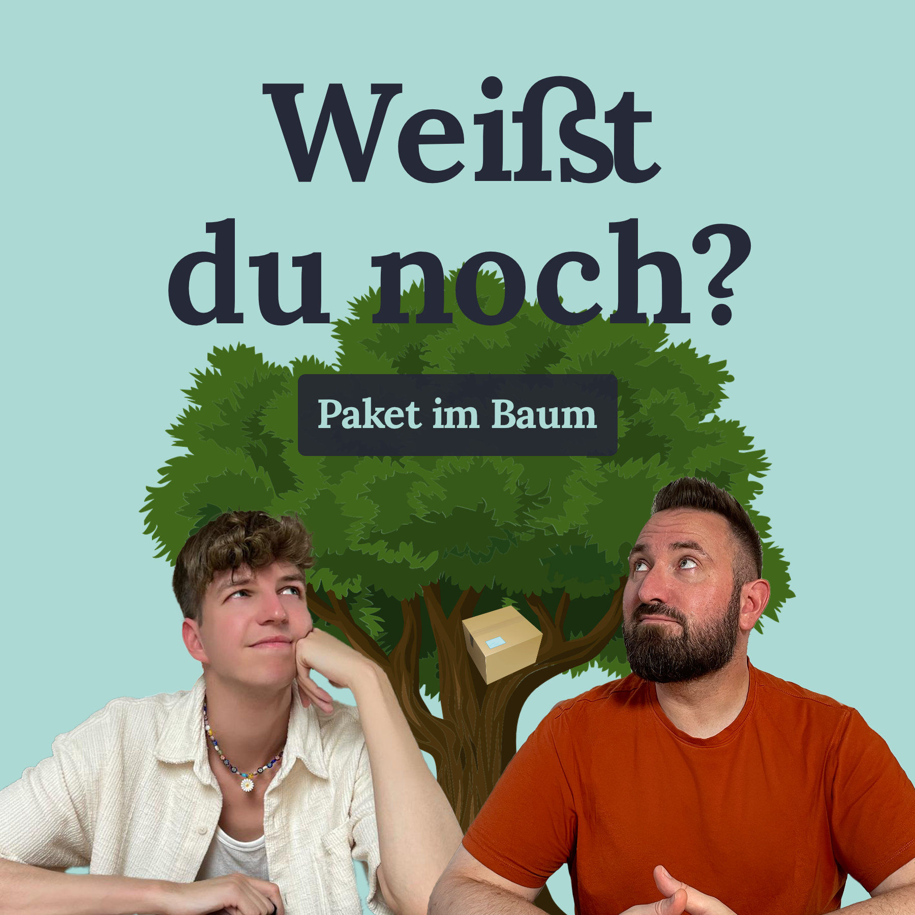 #58 Paket im Baum