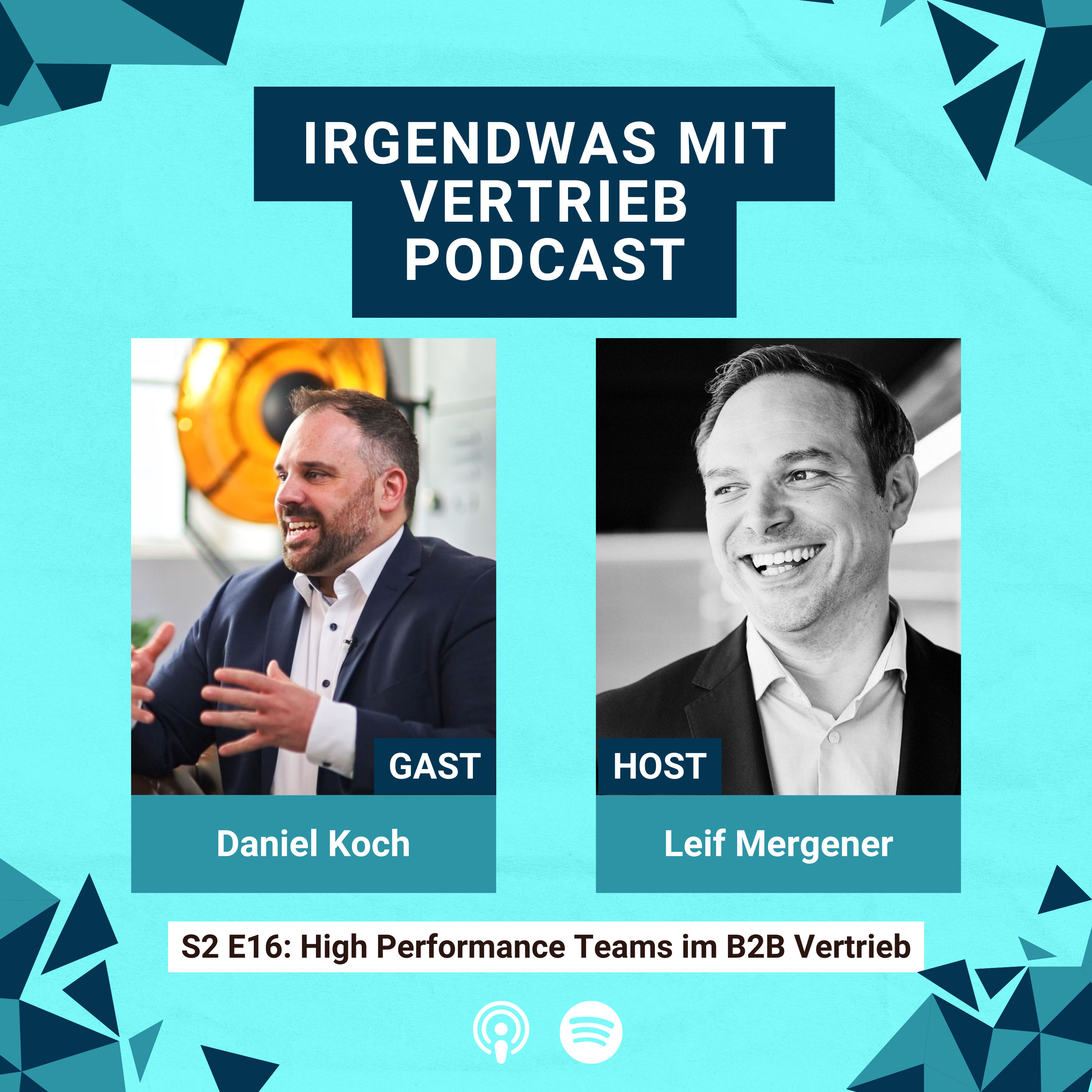 #58 S2E16 High Performance Teams im B2B Vertrieb - Interview mit Daniel Koch