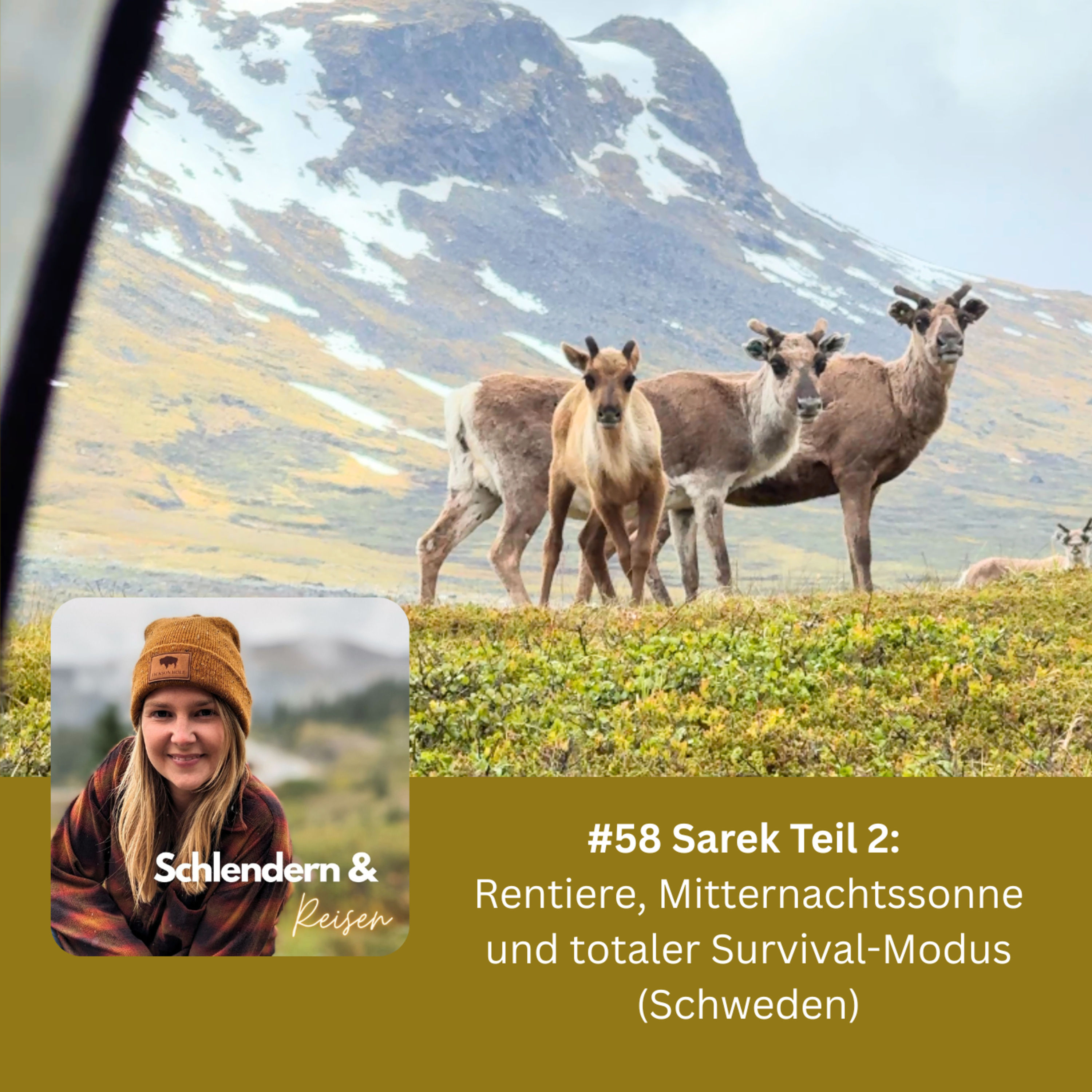 #58 Sarek Teil 2: Rentiere, Mitternachtssonne und totaler Survival-Modus (Schweden)