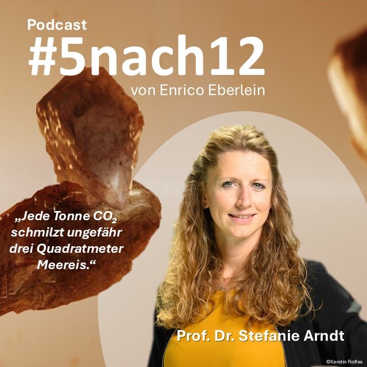 #5nach12 mit Prof. Dr. Stefanie Arndt