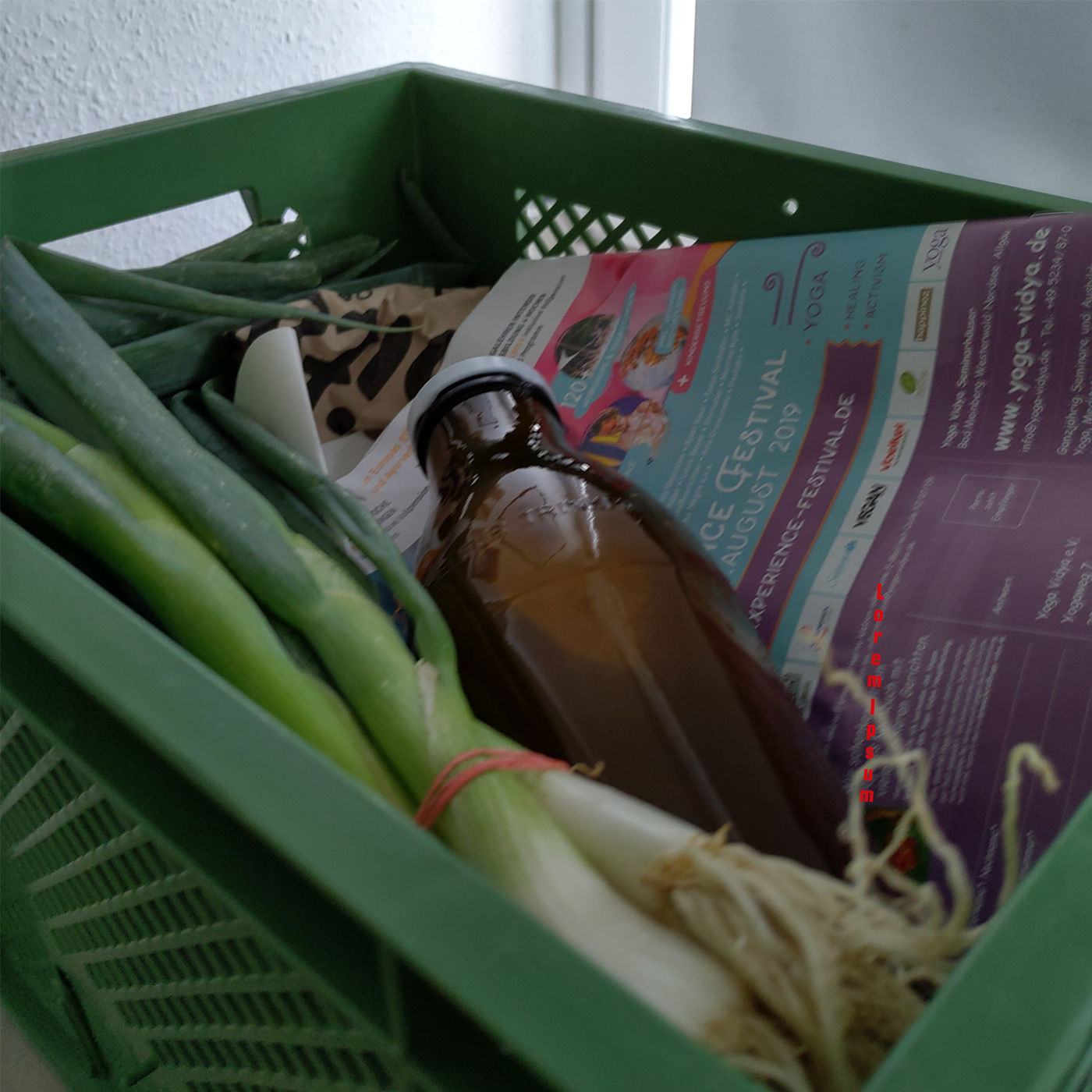 #6 Biokisten, regionale Lebensmittel und Foodretterboxen und der Plastik-Müll der letzten zwei Wochen