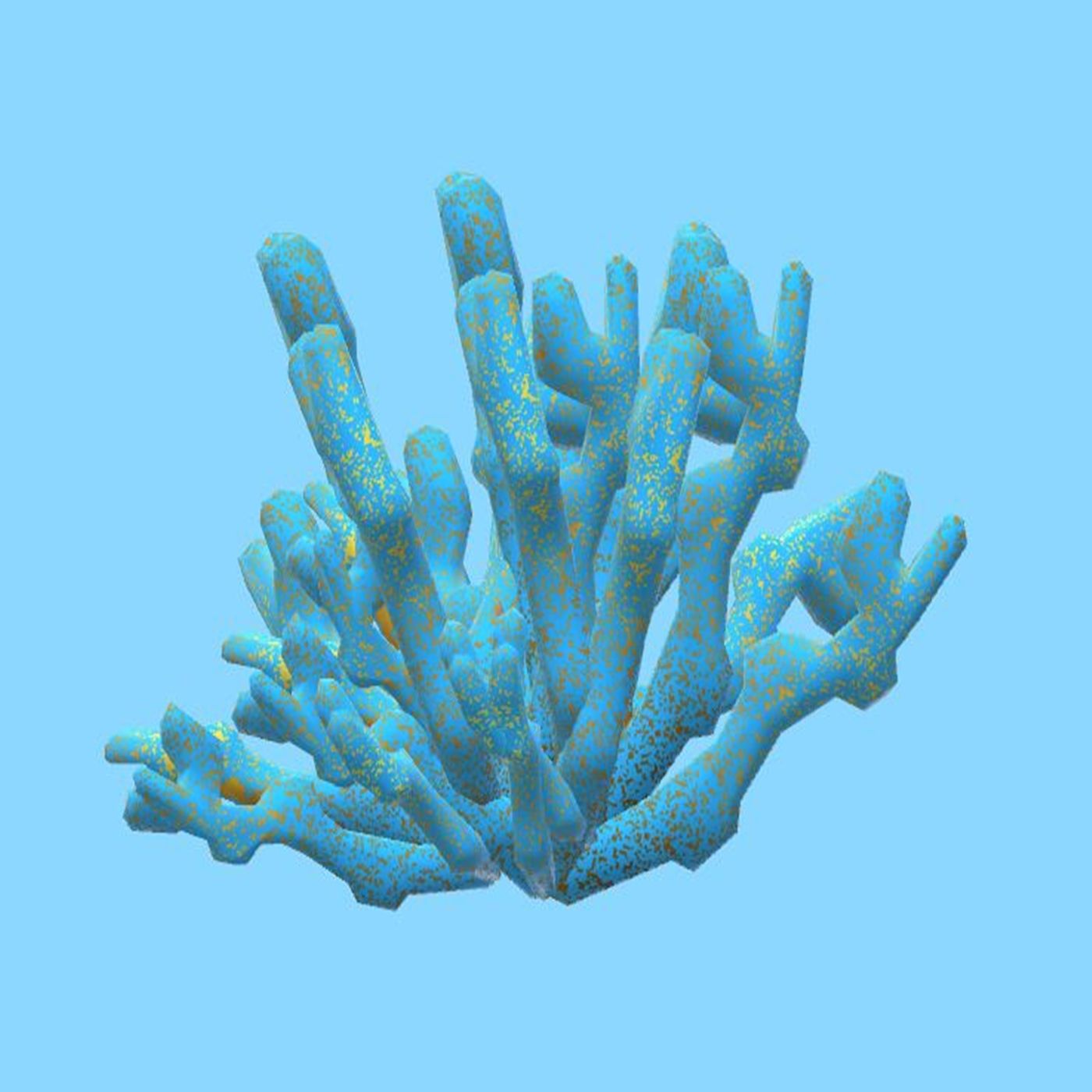 6 - Die Blaue-Groß-Klein-Zauberkoralle