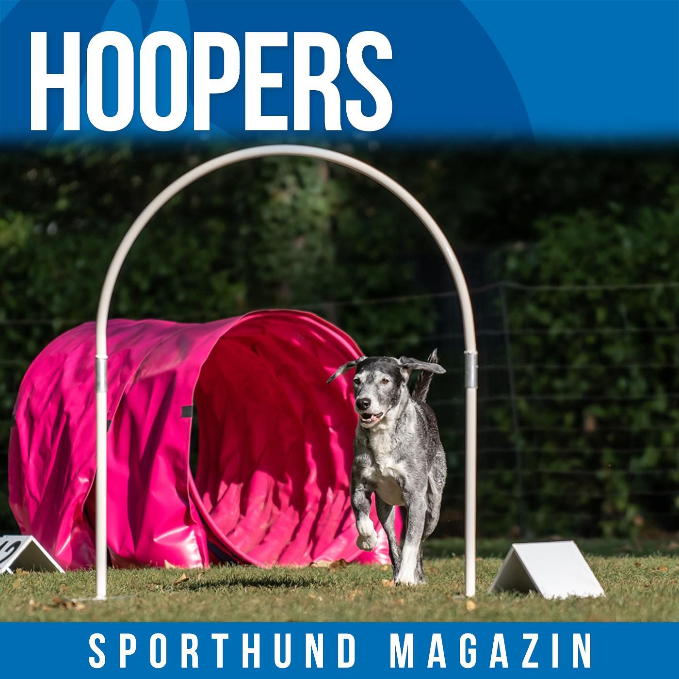 #6 Hoopers
