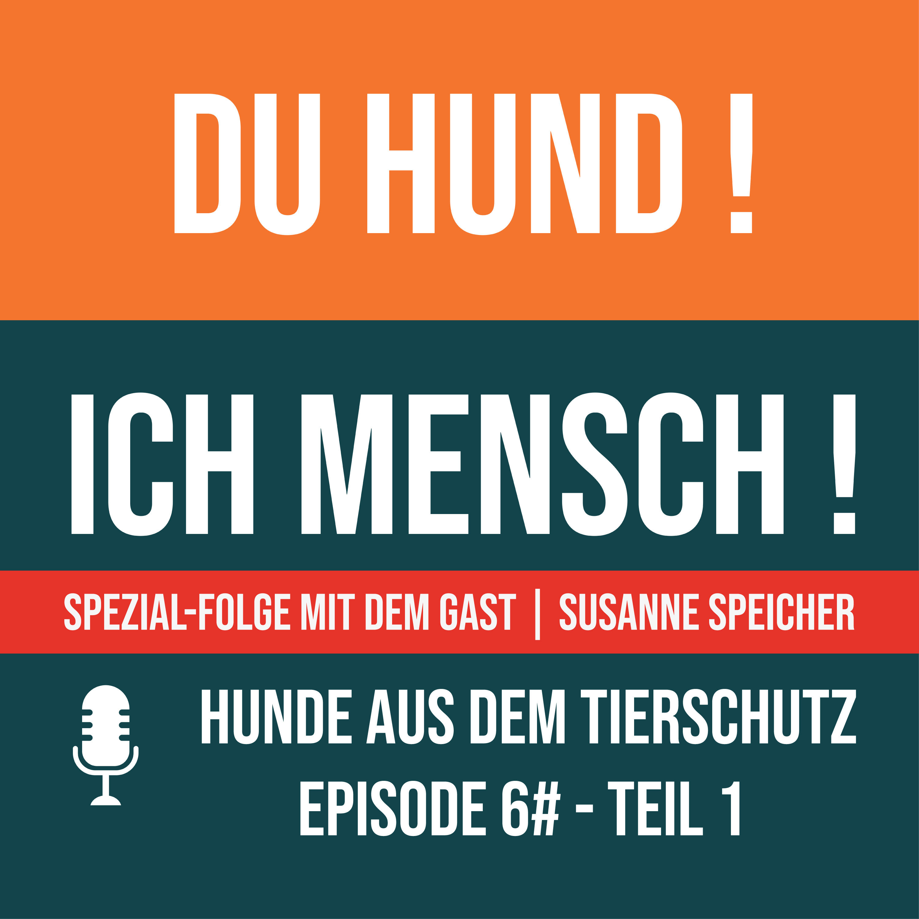 6# Hunde aus dem Tierschutz Teil 1