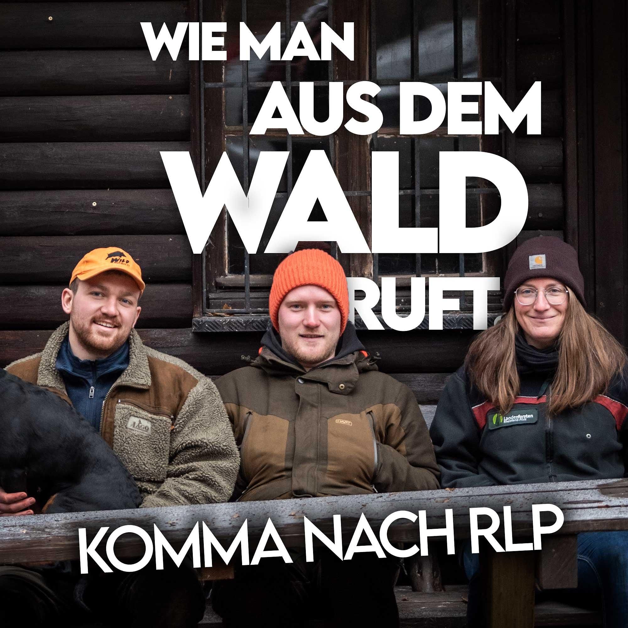 #6 Komma nach RLP